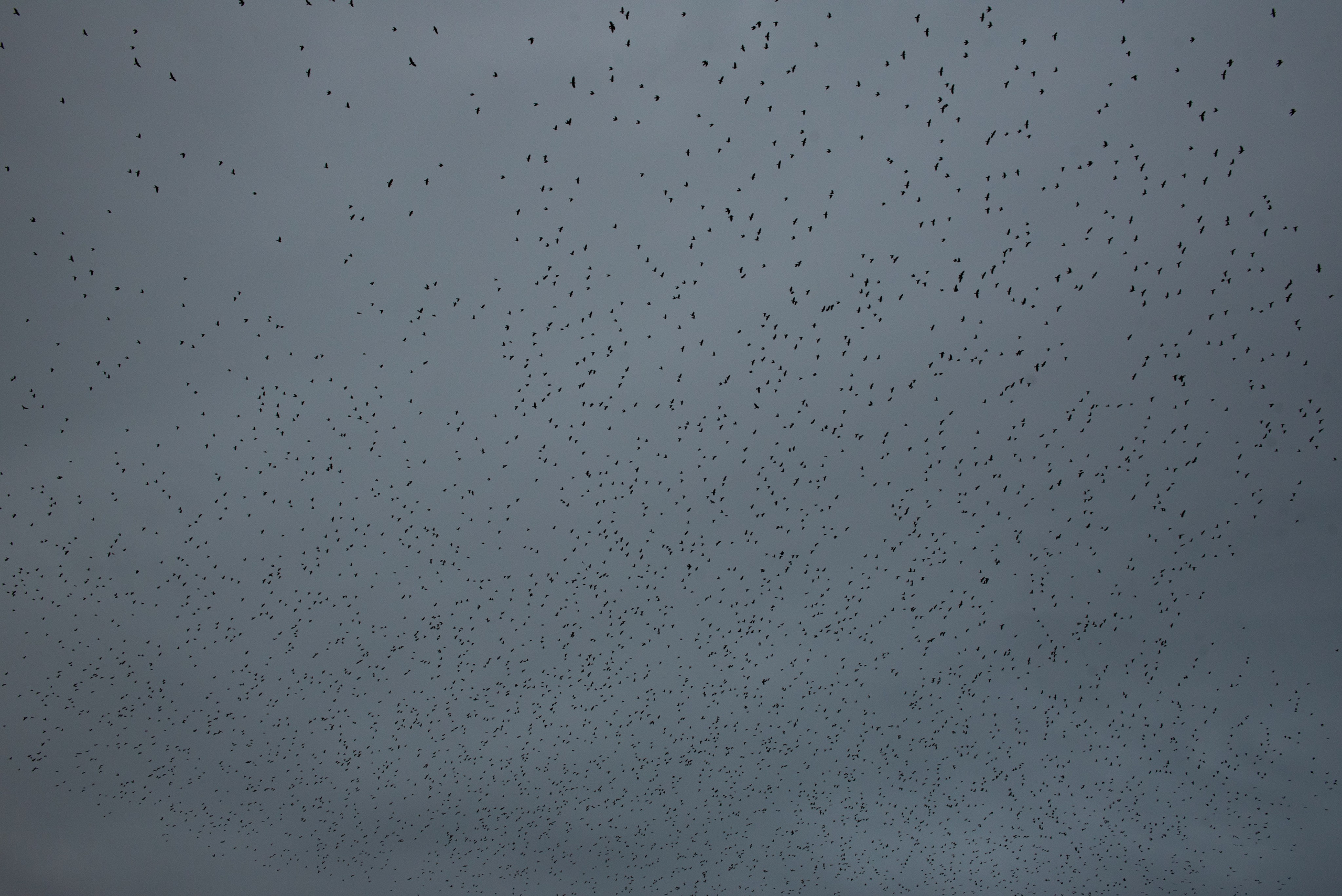 Мурмурация. Портретный и архитектурный фотограф в Москве и Санкт-Петербурге