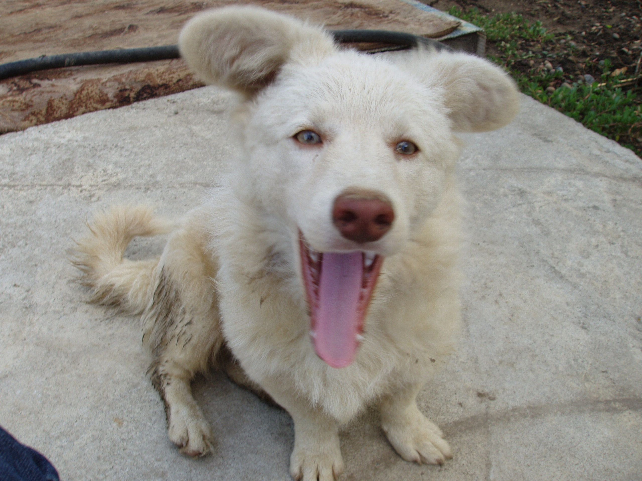 Отпуск 12.06-18.08. Семейный, Свадебный фотограф СПБ Питер— Романова Екатерина