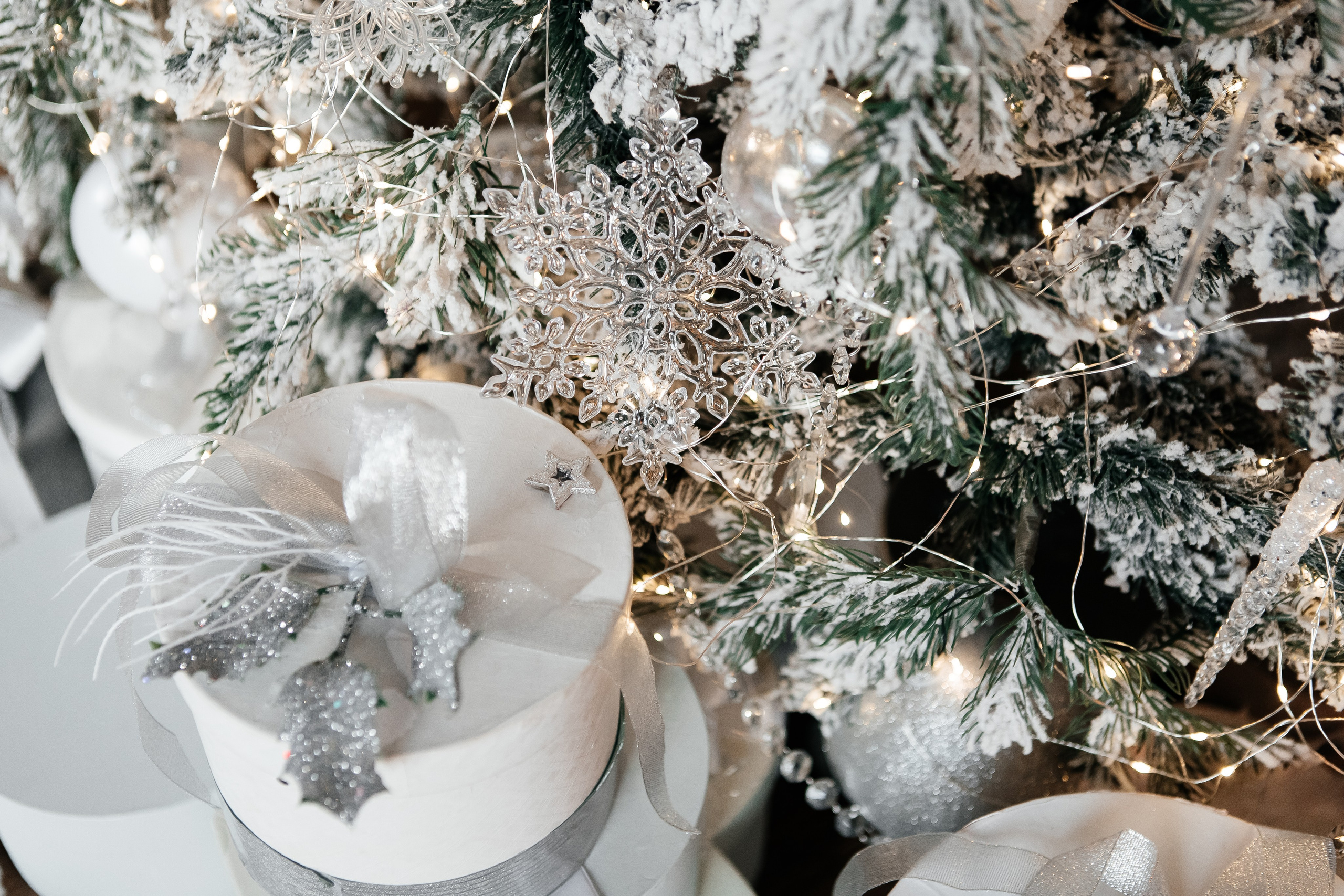 В студии Pavilion. Семейный и свадебный фотограф в Петербурге Евгения и Николай Шевчук