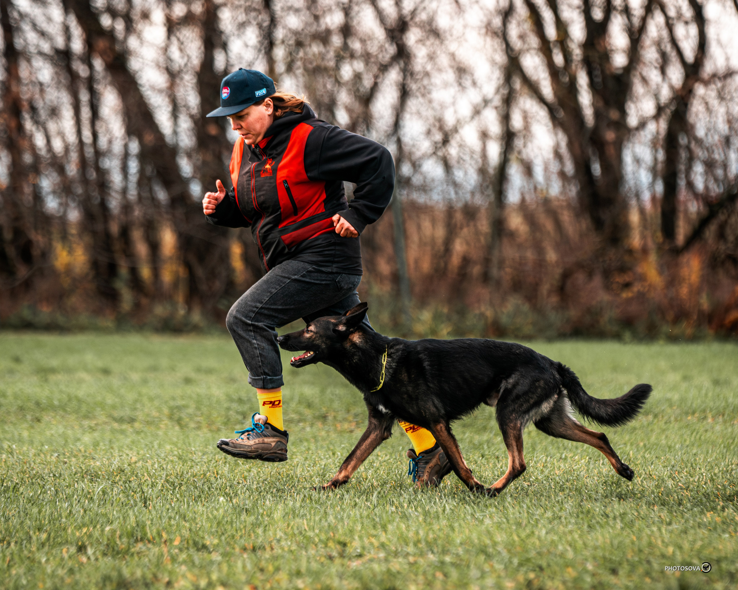 МЫ — КОМАНДА (соревнования) OKD, BH, IBGH, IGP. Фотограф-анималист, семейный фотограф в Москве и Подмосковье. Фотосъёмка кинологических дисциплин