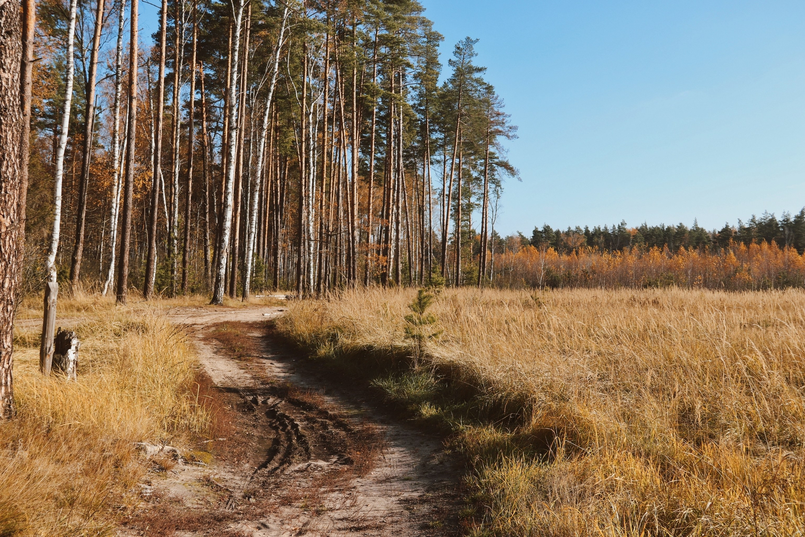 По тропе Паустовского. С любовью, фотохудожник