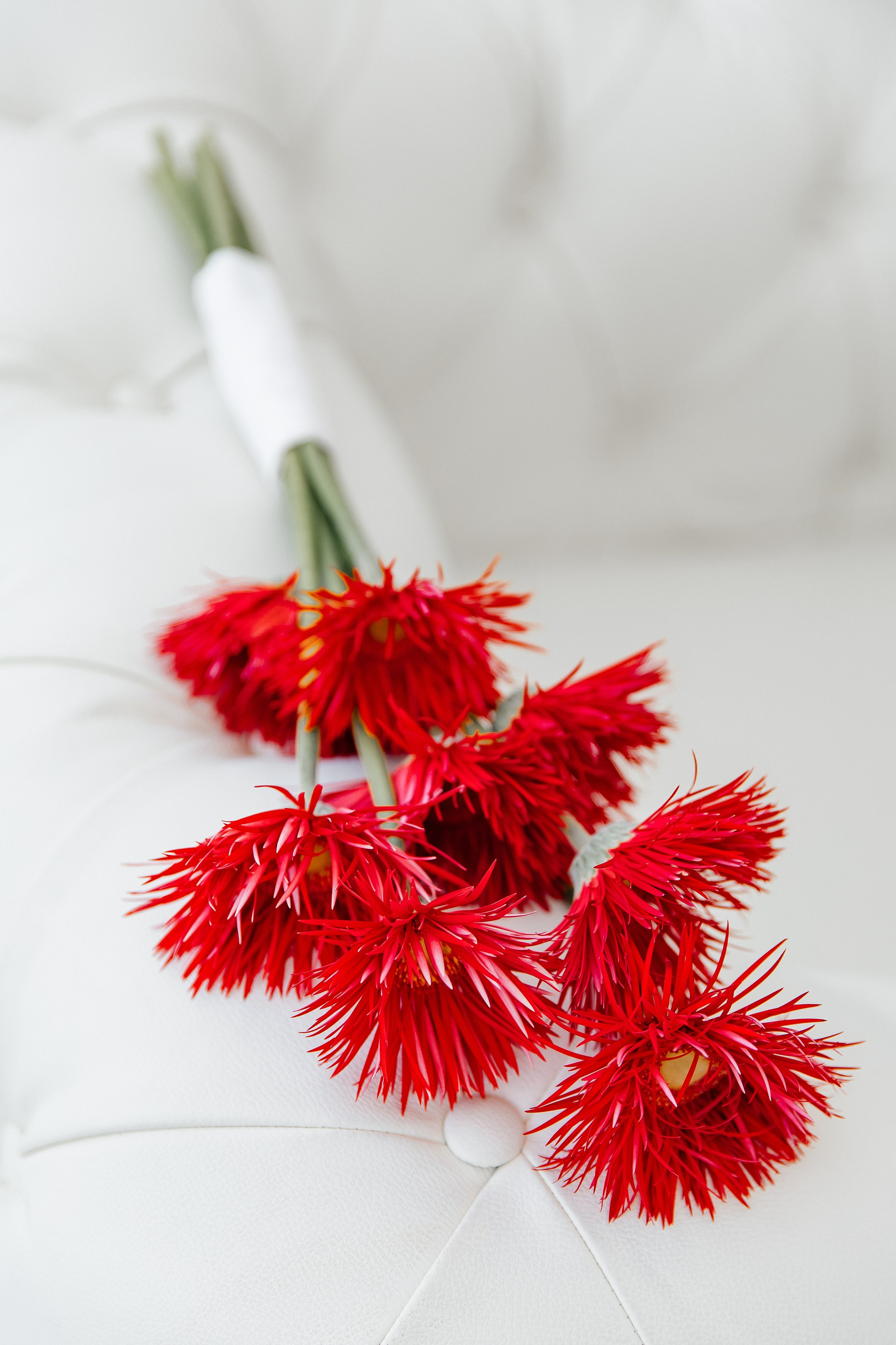 Елизавета и Леонид. Свадебный и семейный фотограф Егорова Юлия