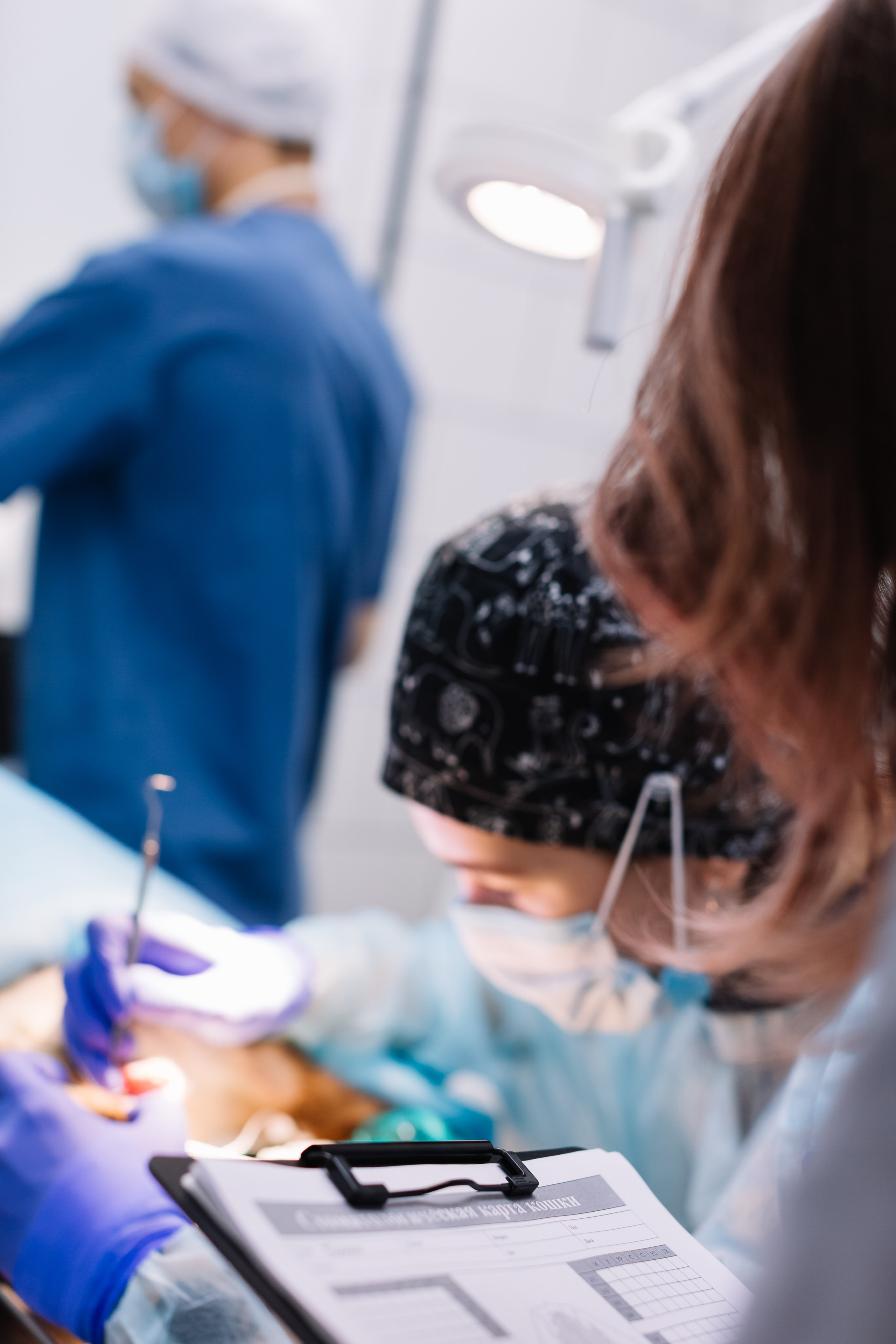 алёна малахова фотограф новосибирск семейный детский домашняя фотосессия в новосибирске день рождения репортажная съёмка фотосессия с лошадьми на конюшне деревня алтай  на природе фотосессия в детском саду мама и сын предложение руки и сердца идея  помолвка фотосессия берег закат детский день рождения годик торт аниматор лофт игровая продолжение следует prodoljenie_sleduet_  корпоратив тимбилдинг первоклашка линейка  контент  бизнес портрет оперный новат франция берет весна девушка