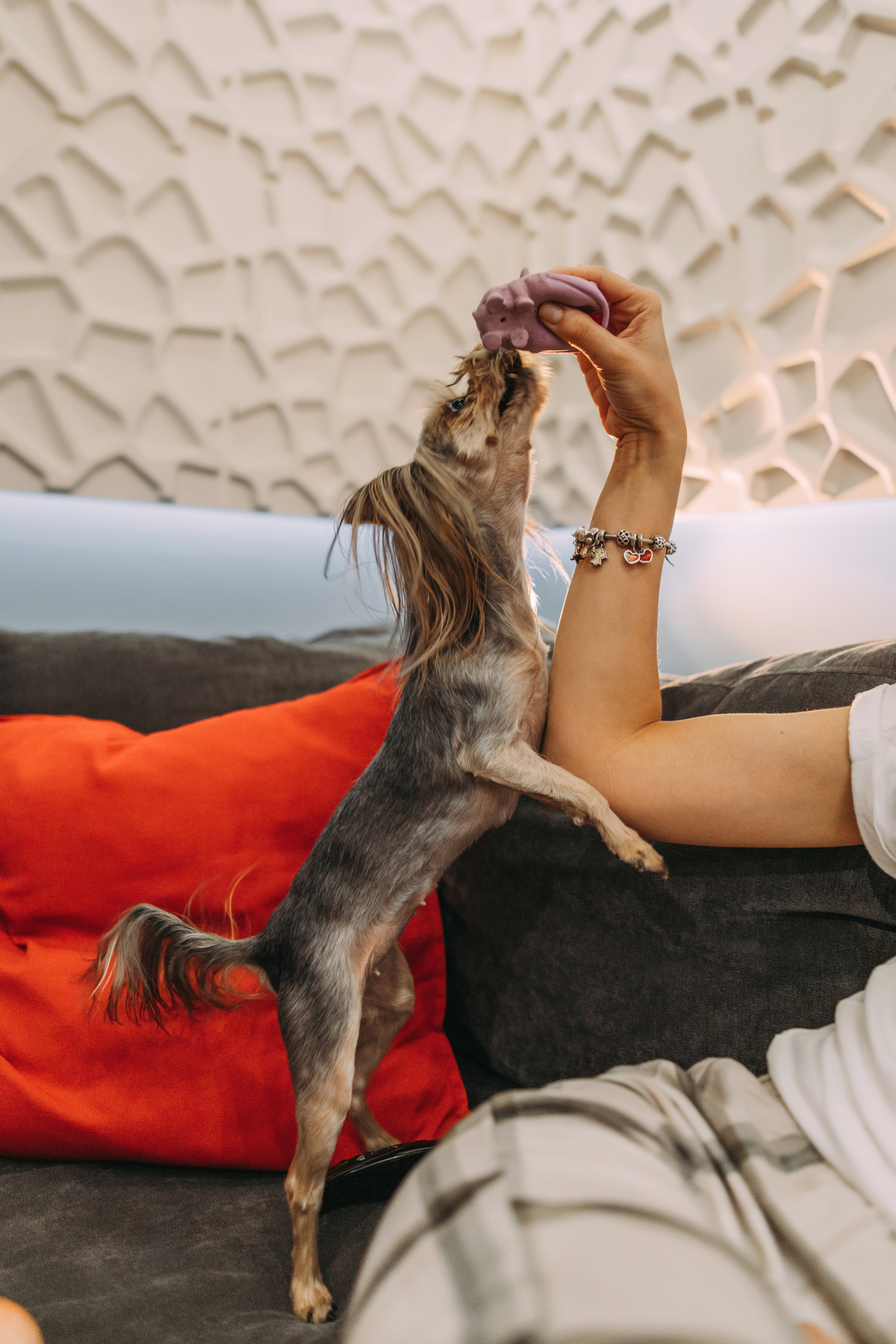 Таня и Полина. Семейный фотограф и детский фотограф в Волгограде Алеся Бутакова — дет