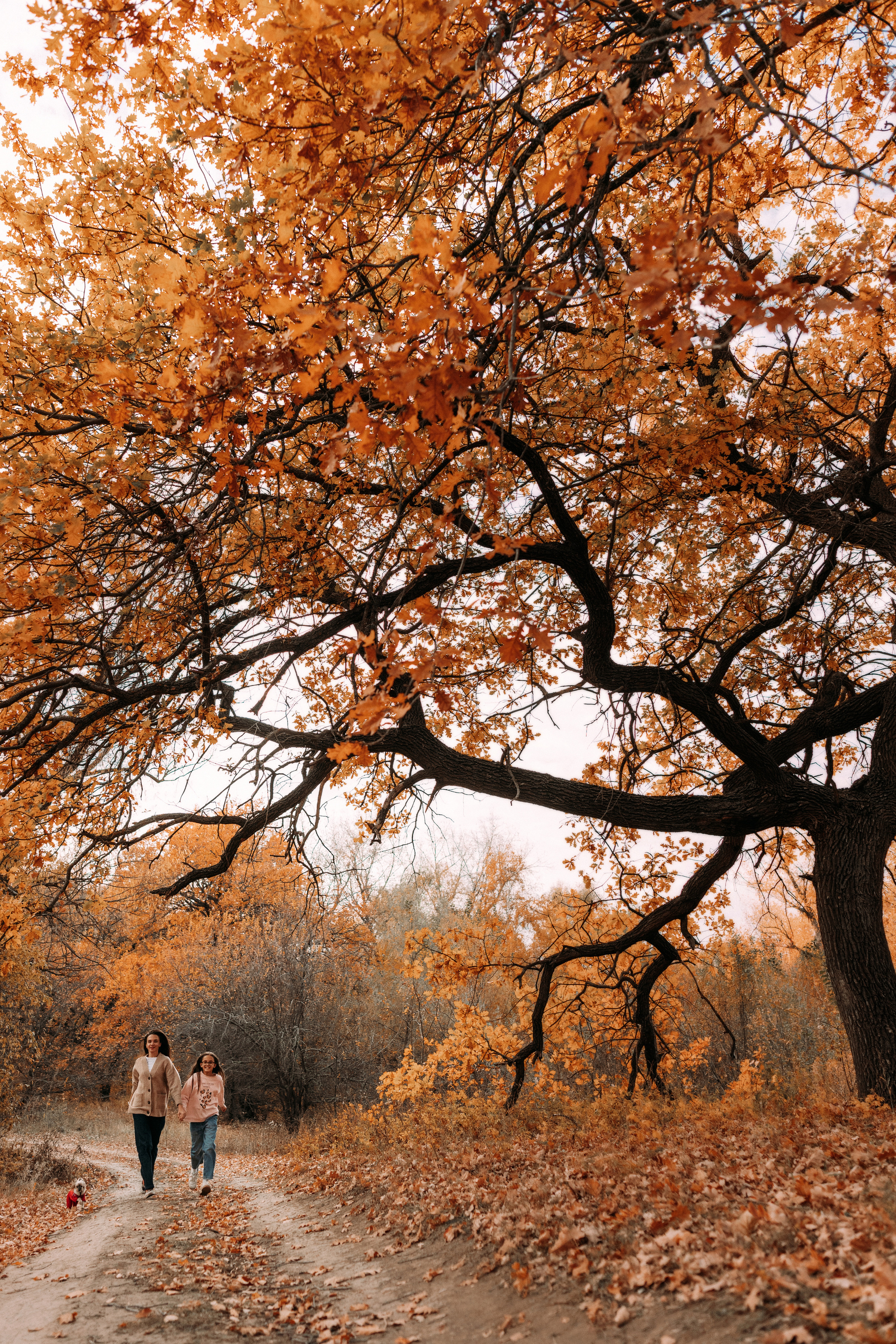 Таня и Полина. Семейный фотограф и детский фотограф в Волгограде Алеся Бутакова — дет