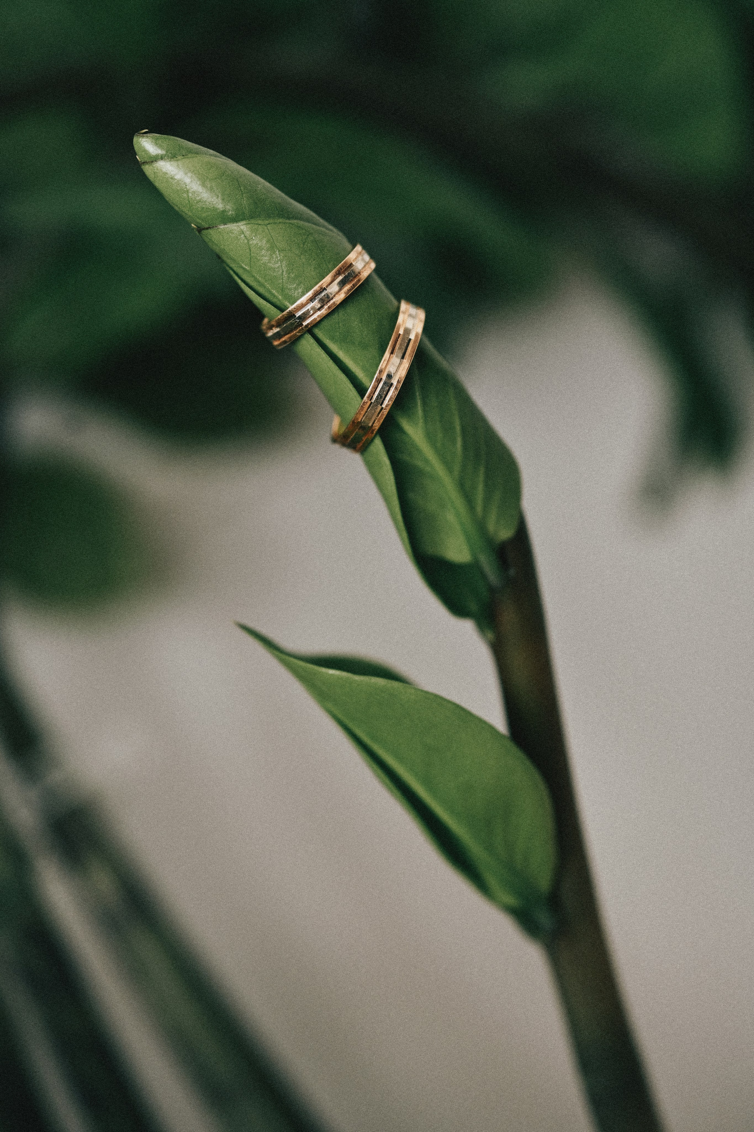 Свадебный, портретный фотограф В Москве и Челябинске Панченкова Светлана