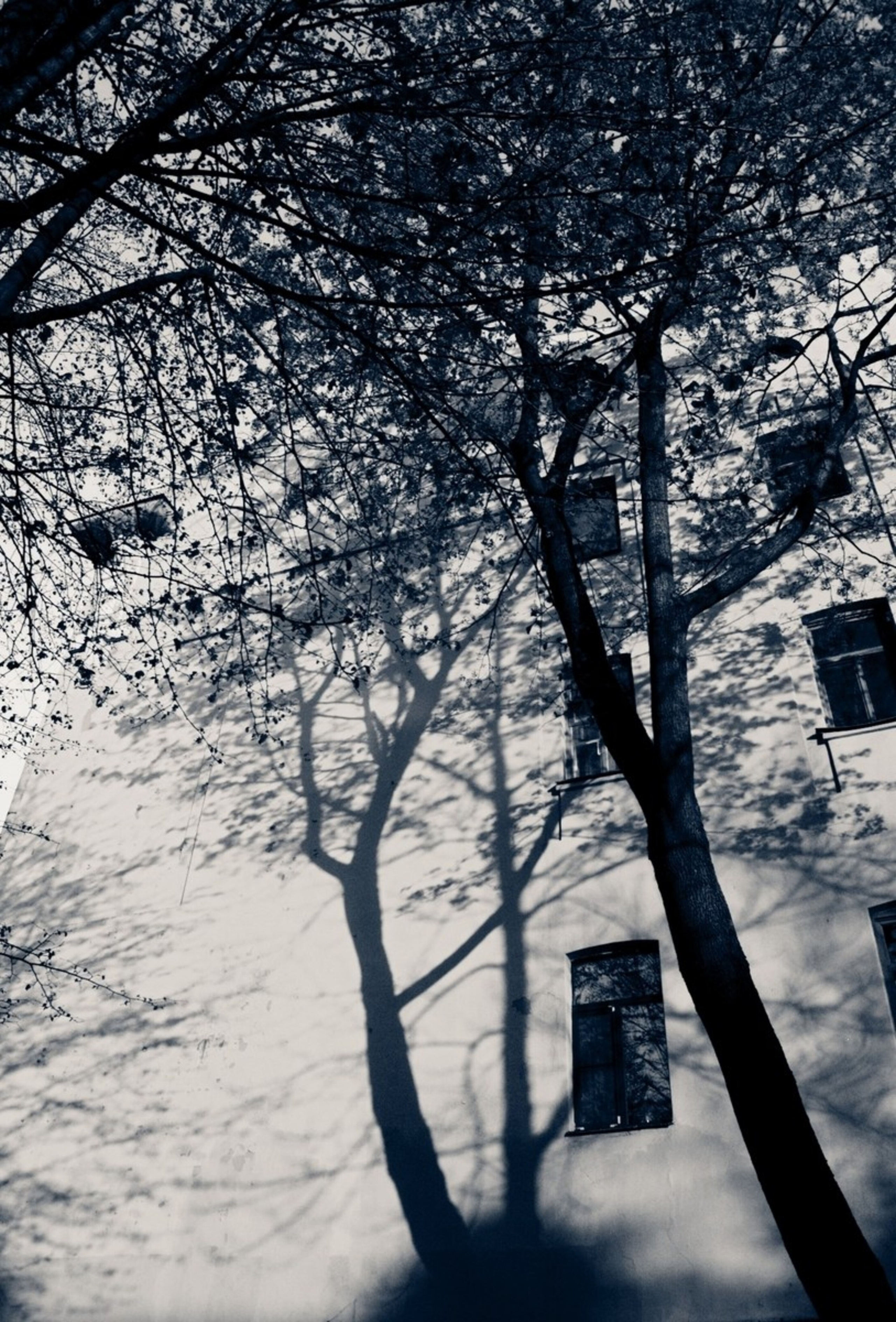 Городские зарисовки. Надежда Козлова, фотограф, Санкт — Петербург