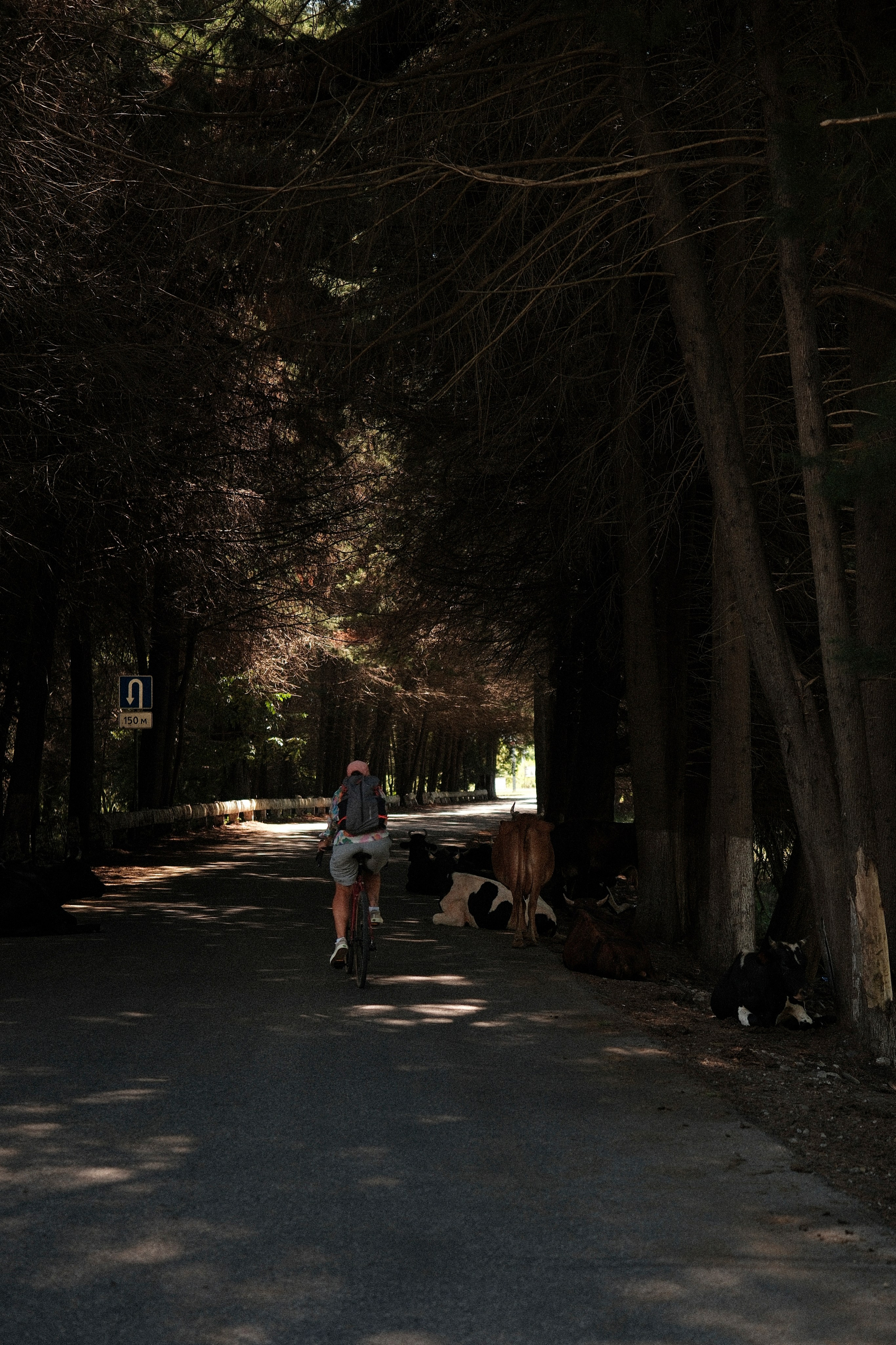 Tour de Abkhazia 2.0. Main