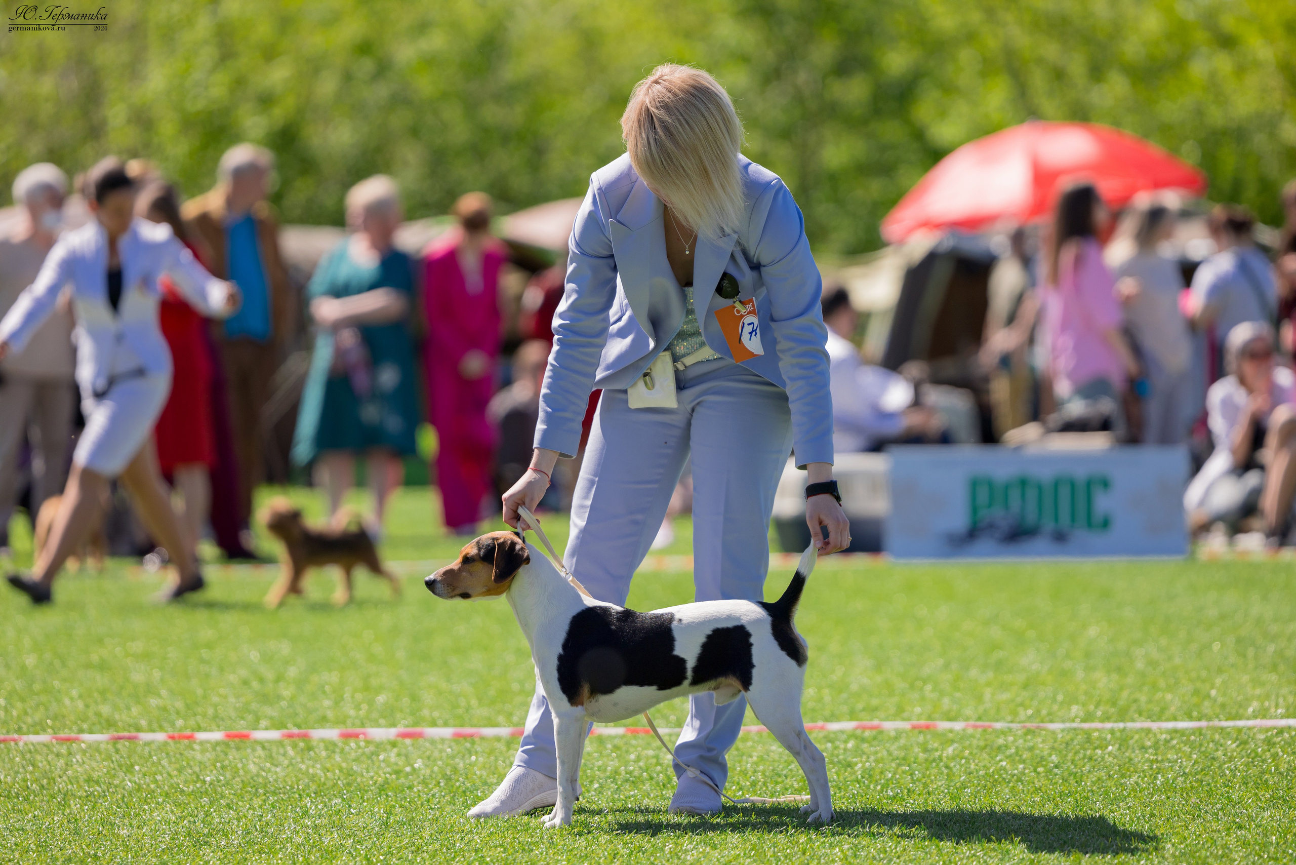 Суздаль 18-19.05.2024. Фотограф-анималист Юлия Германика