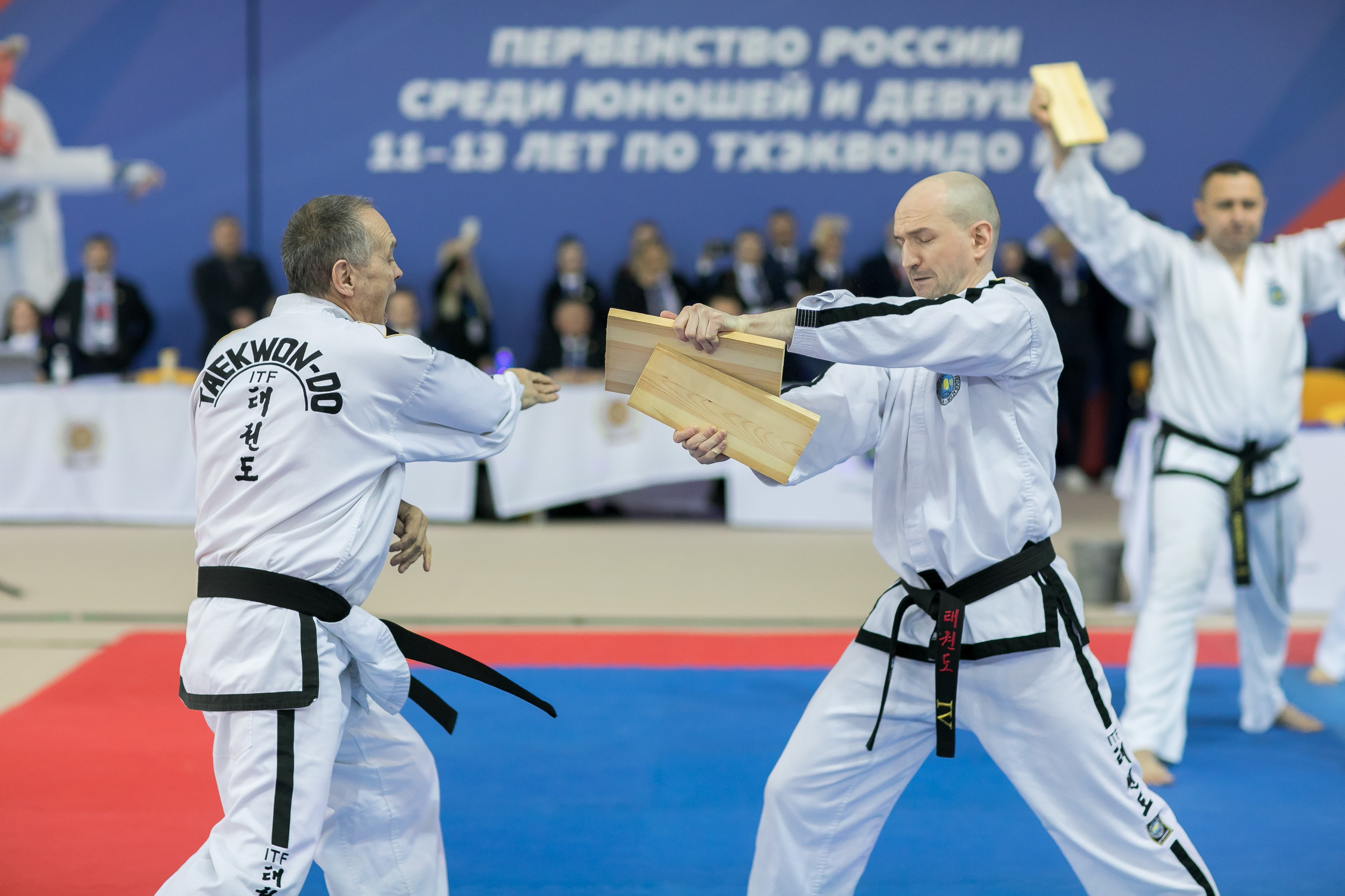 Тхэквондо. Фотограф в Сочи, Краснодаре и Ростове на Дону