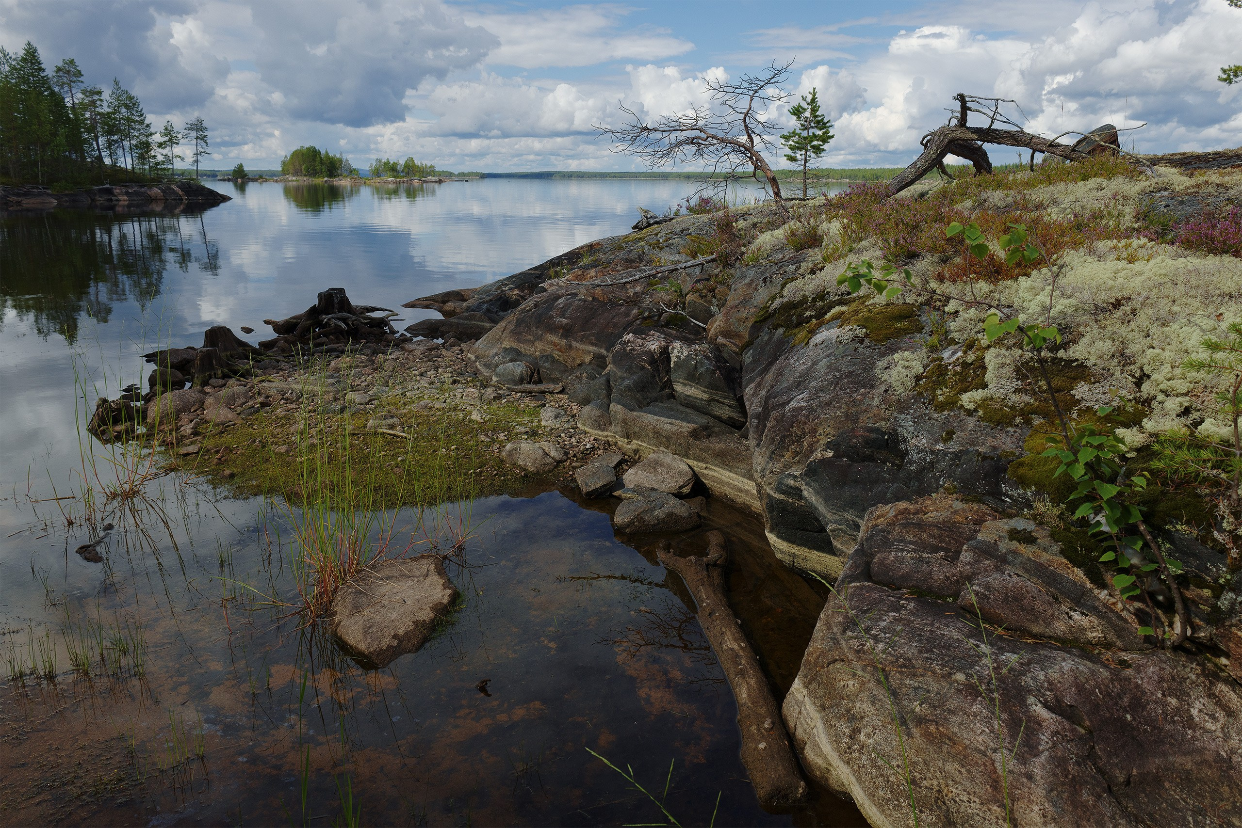 Пейзажи. Сайт фотографа Елены Михайловой. Фотосессии на пленэре в Сестрорецке