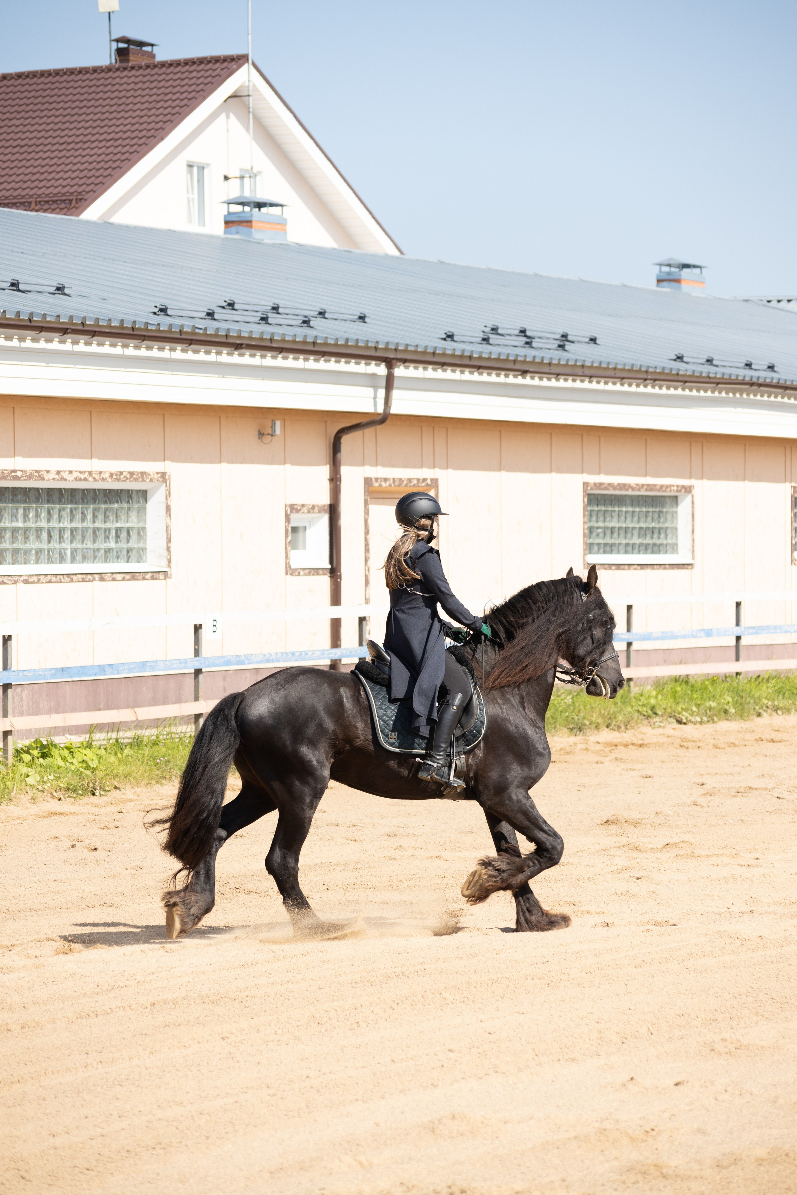 Конюшня. Фотограф в Москве и Истре