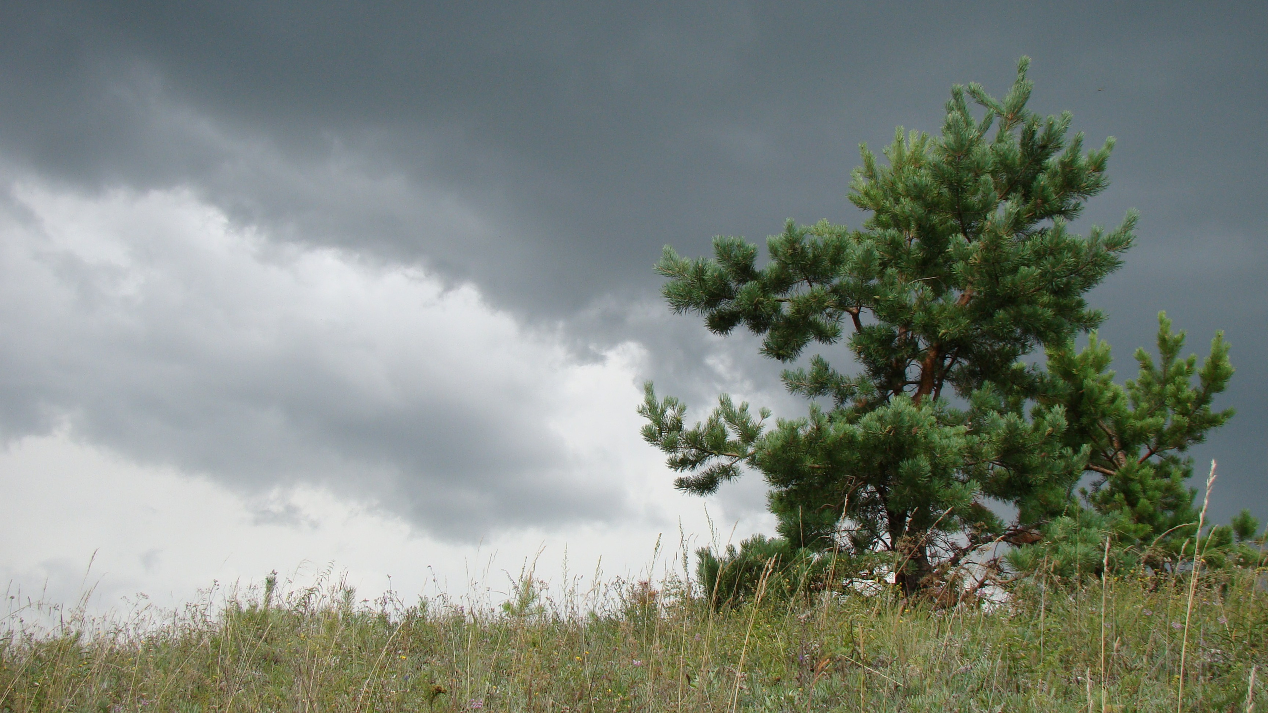 Самые первые мои фотографии. Елена Берсенева, фотограф