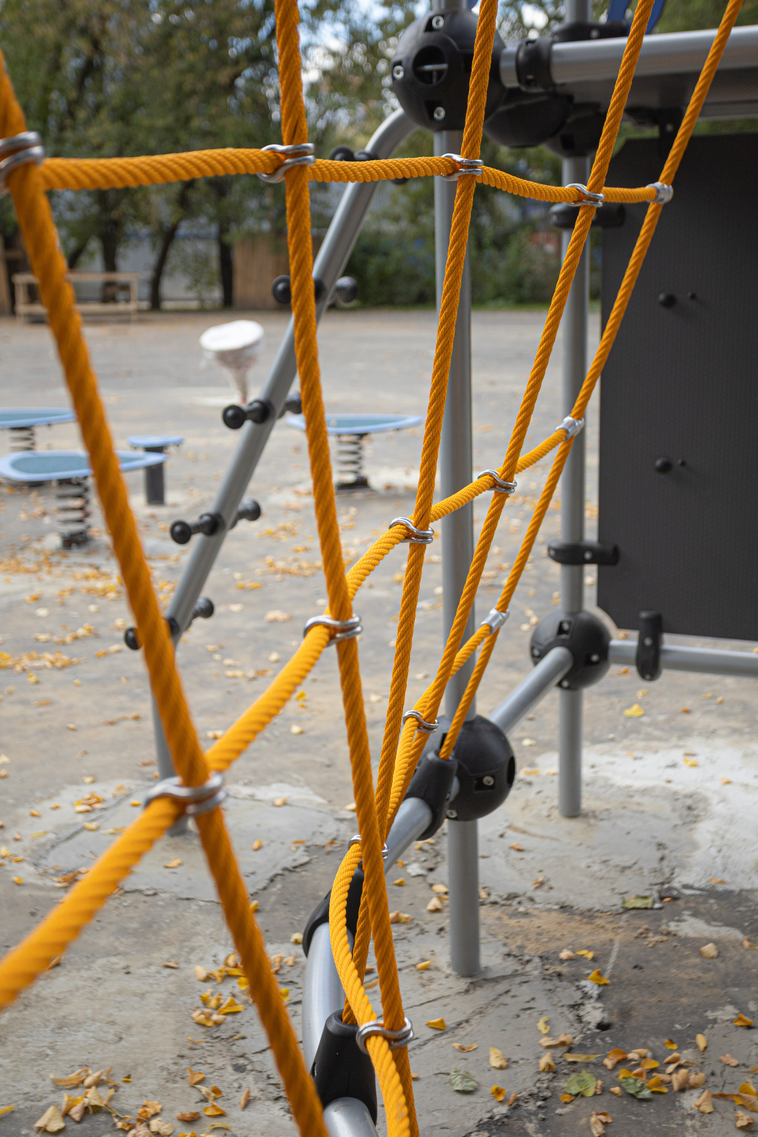 Парк «Сокольники». Фотограф Владислав Кононихин