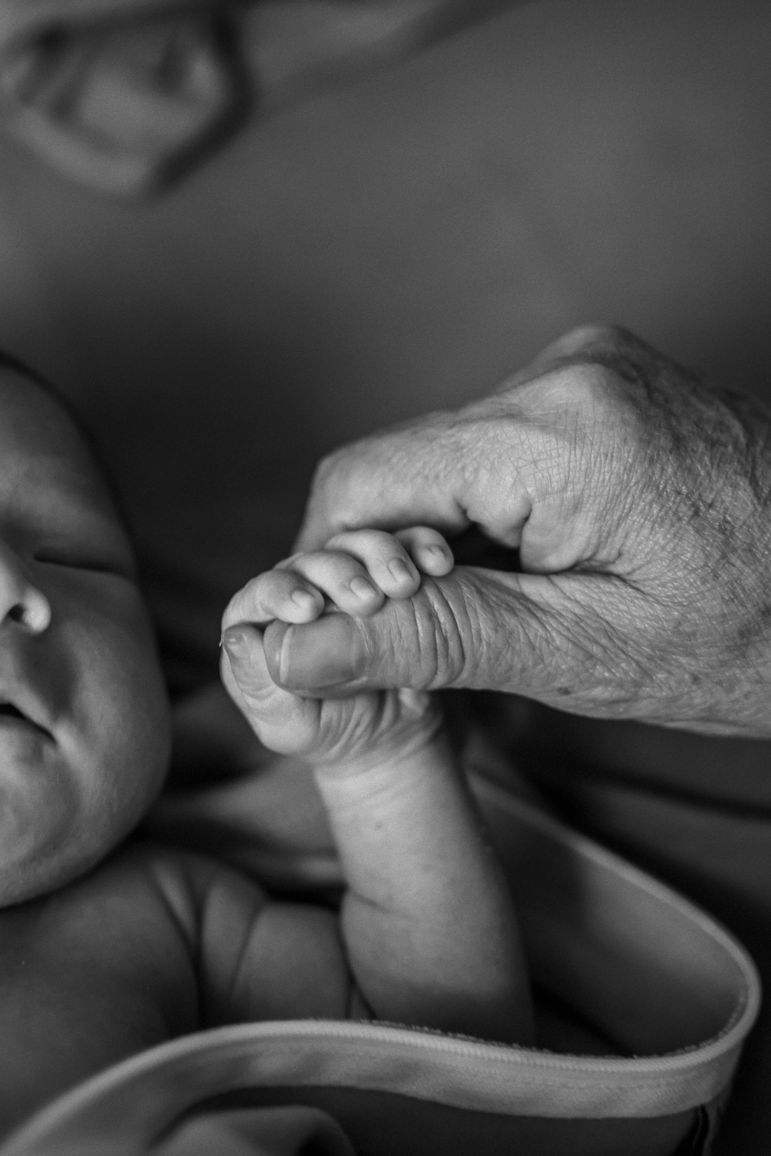 Фотограф Эльвина Харисова