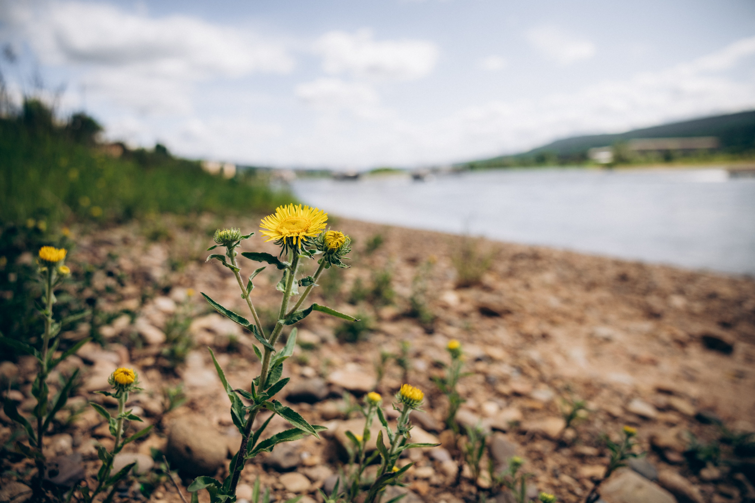 День Речного и Морского флота