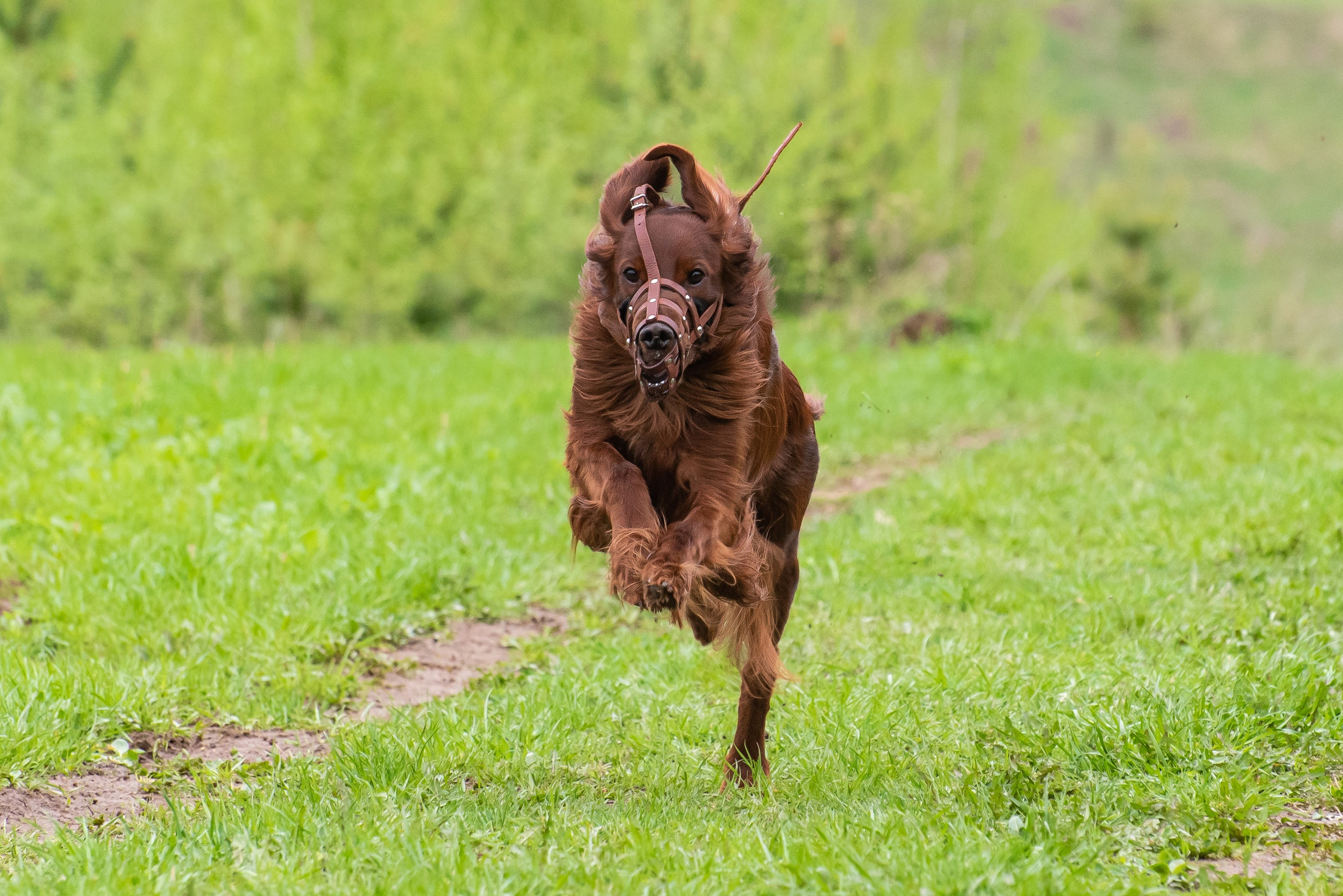 Фотографии с Курсинга. Фотограф Макс Огурцов в Нижнем Новгороде