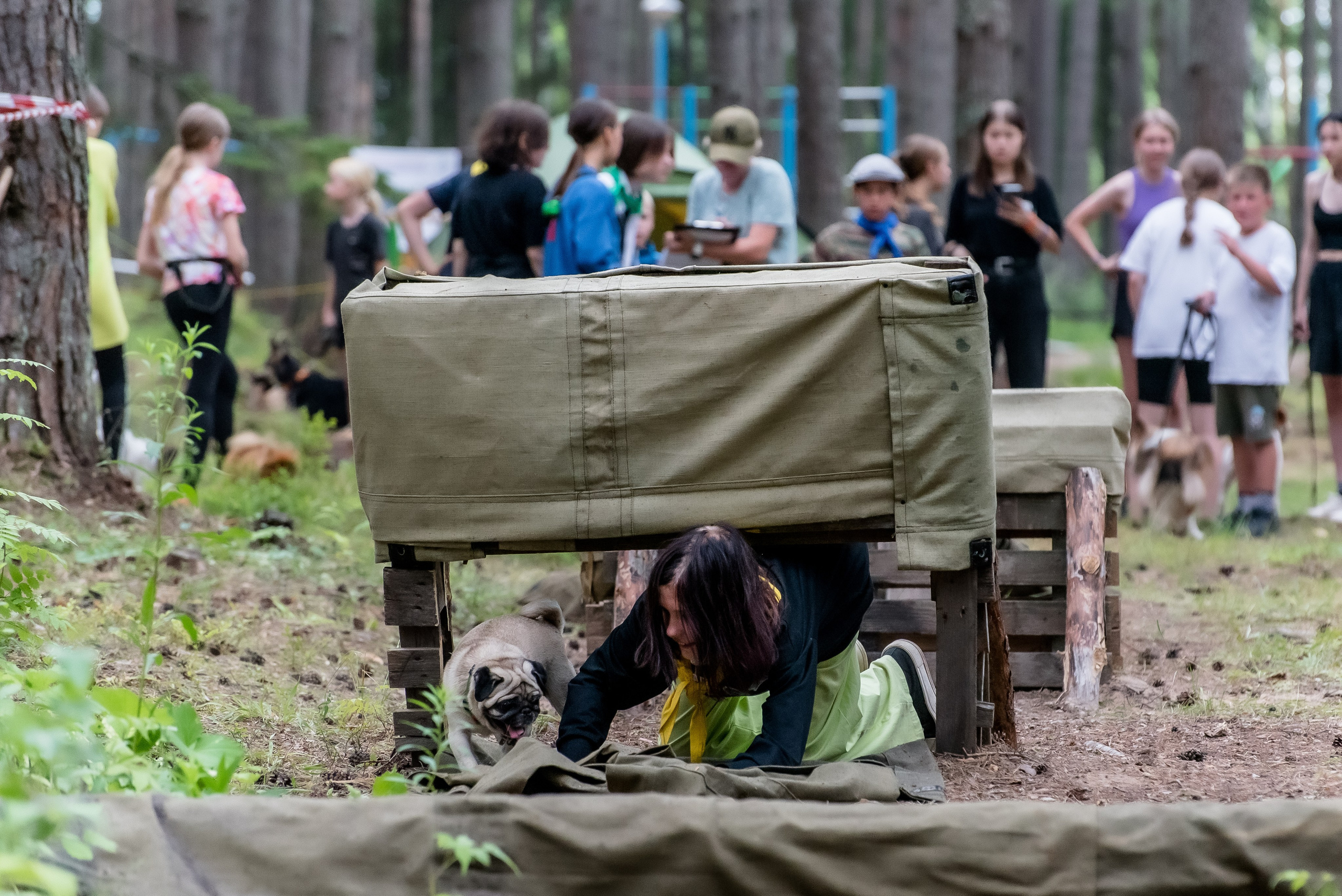 Хвостатые каникулы Детский кинологический лагерь. Фотограф Макс Огурцов в Нижнем Новгороде