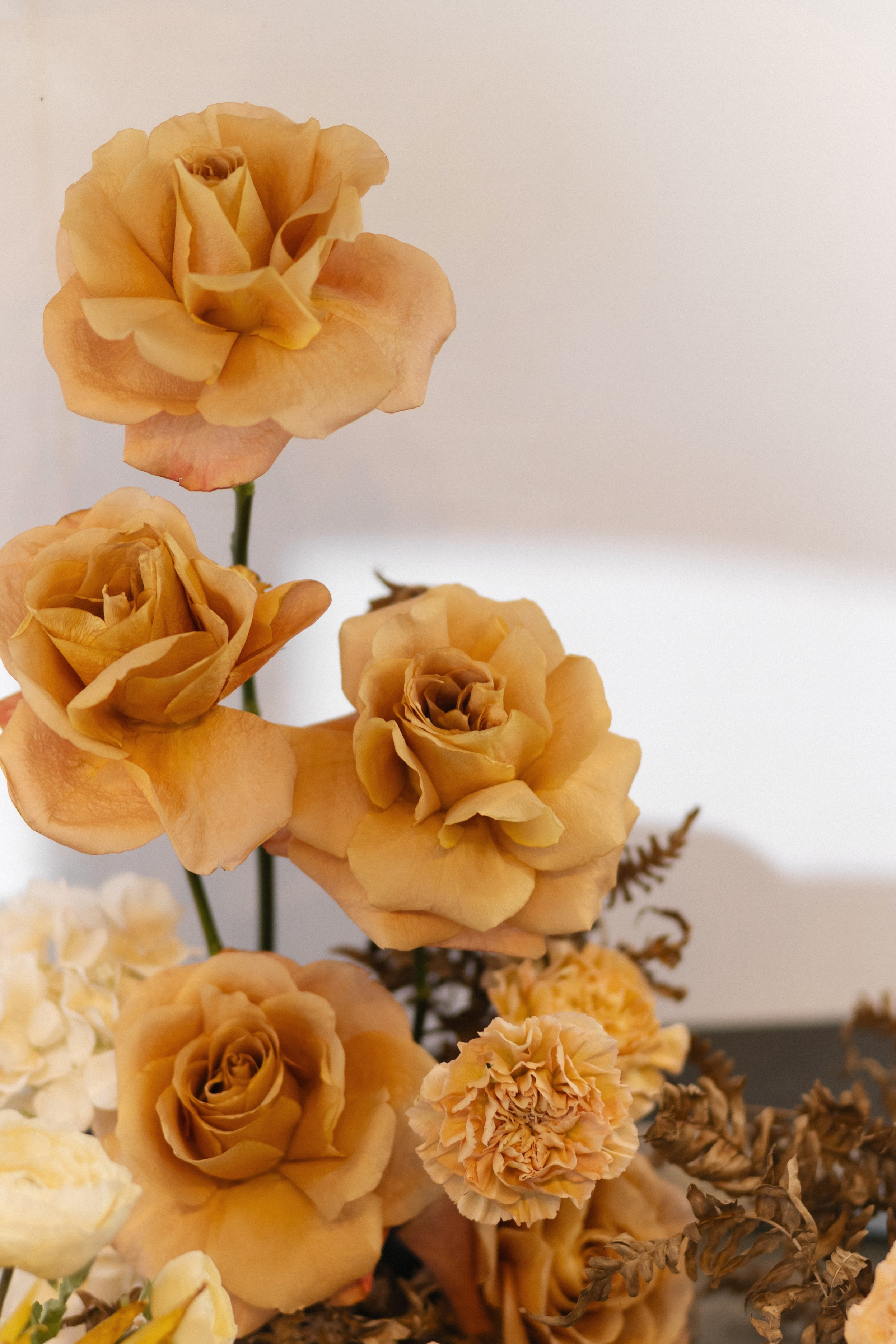 «В ОБЪЯТИЯХ ОСЕНИ». Maria Startseva Photo