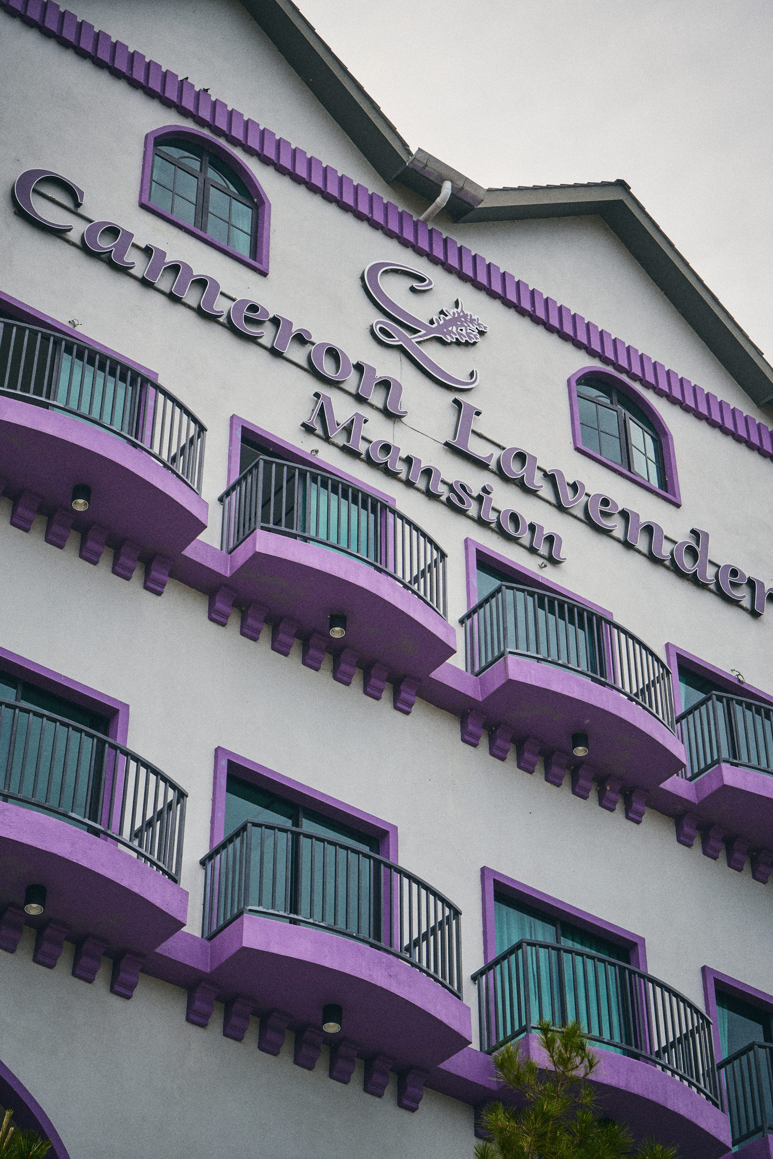 Lavender Mansion. See the moment and catche. commercial and reportage