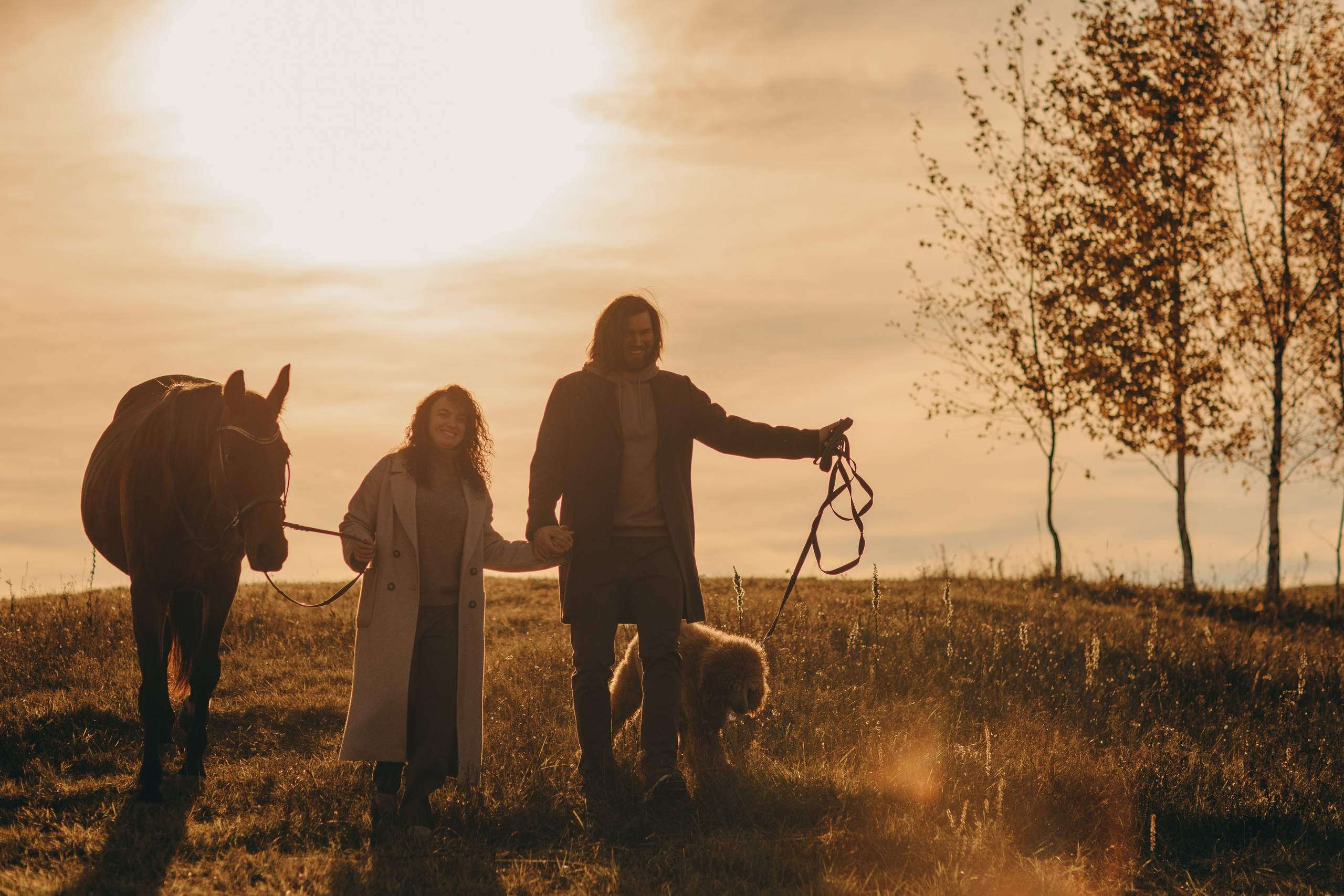 Наши пушистые дети. Главная