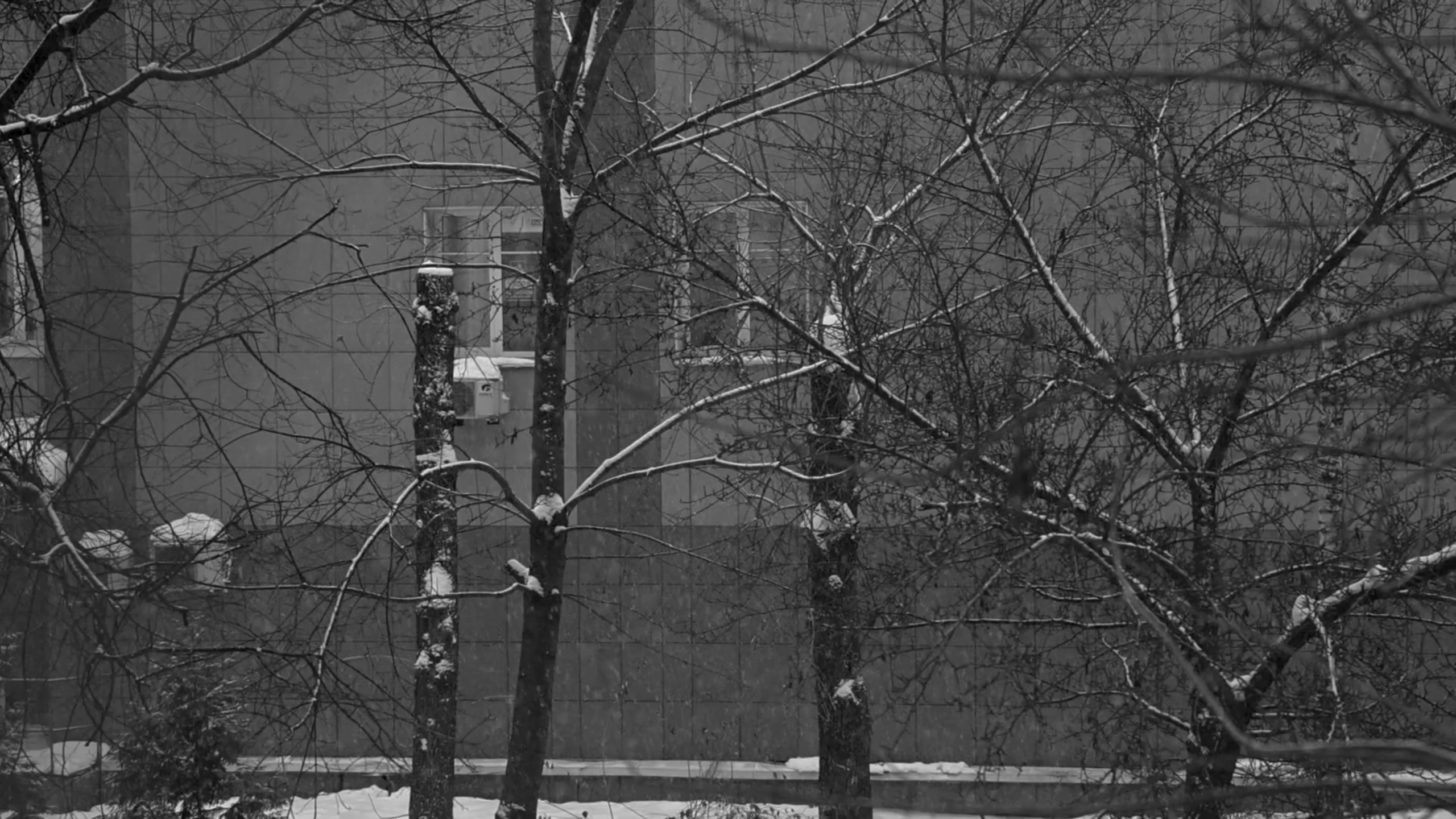 Рождение. Дарья Бухреева — фотограф, видеограф и фототерапевт. Москва и мир