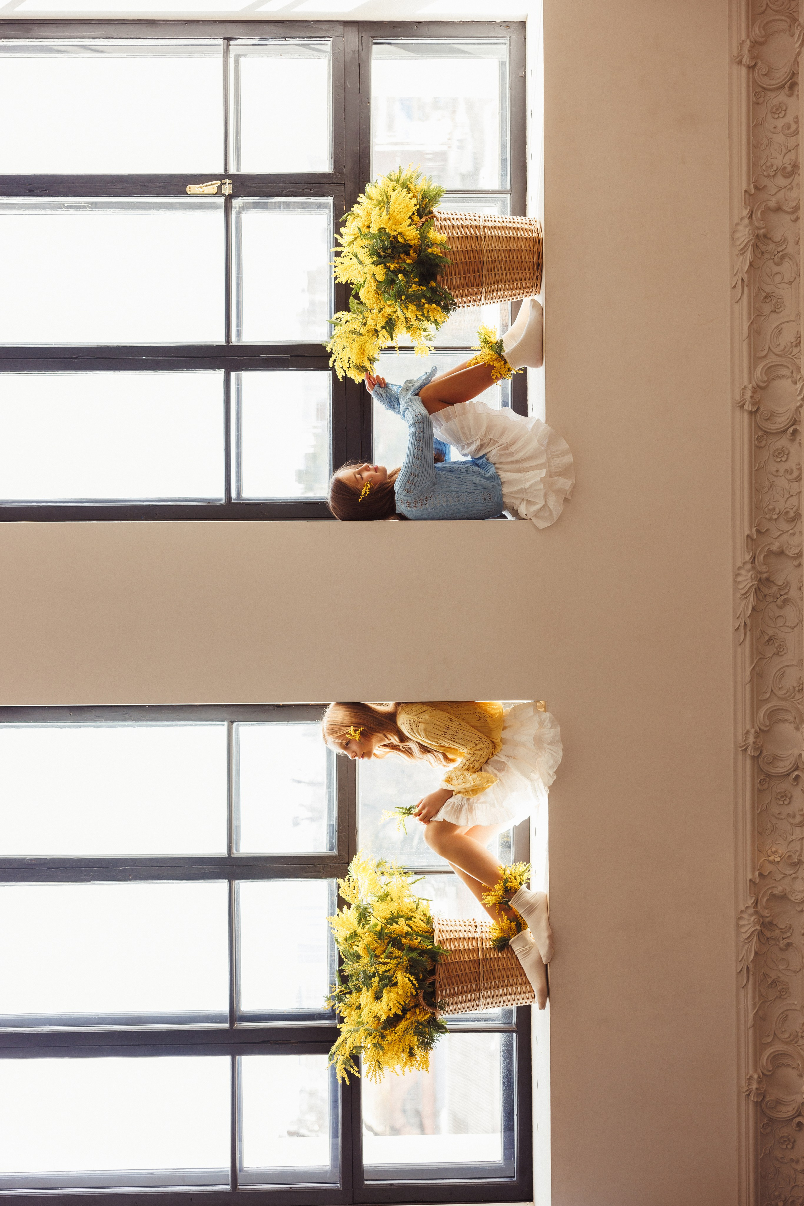 Фотосессия с цветами Мимозы, фотостудия «Рим», город Краснодар. Семейный и детский фотограф в Краснодаре Анна Трашкова