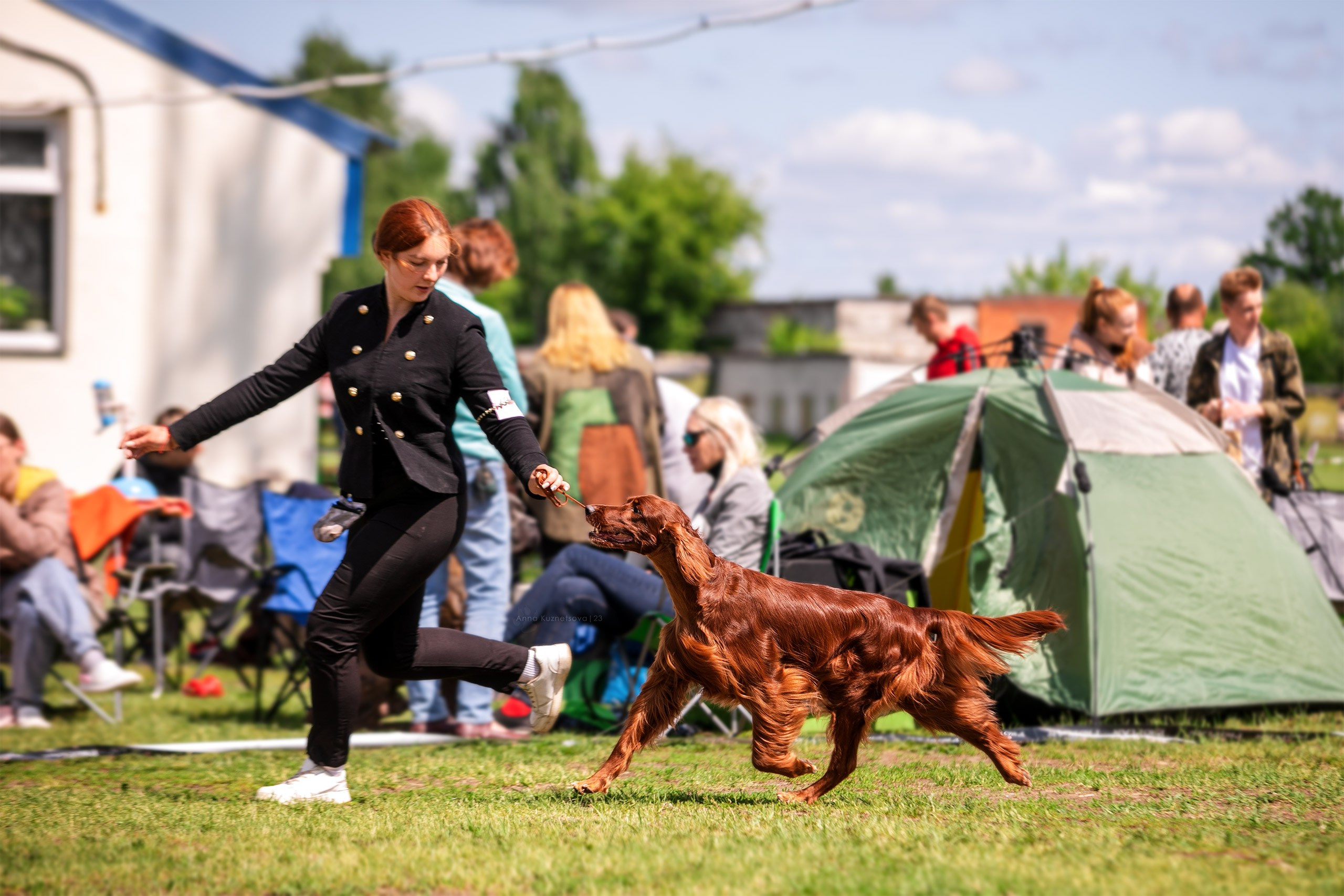 В ринге. Фотограф анималист Кузнецова Анна Нижний Новгород