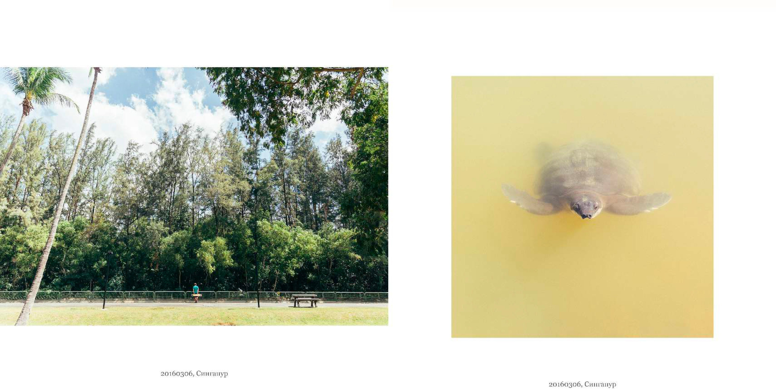 BEST FAMILY BOOK 2017