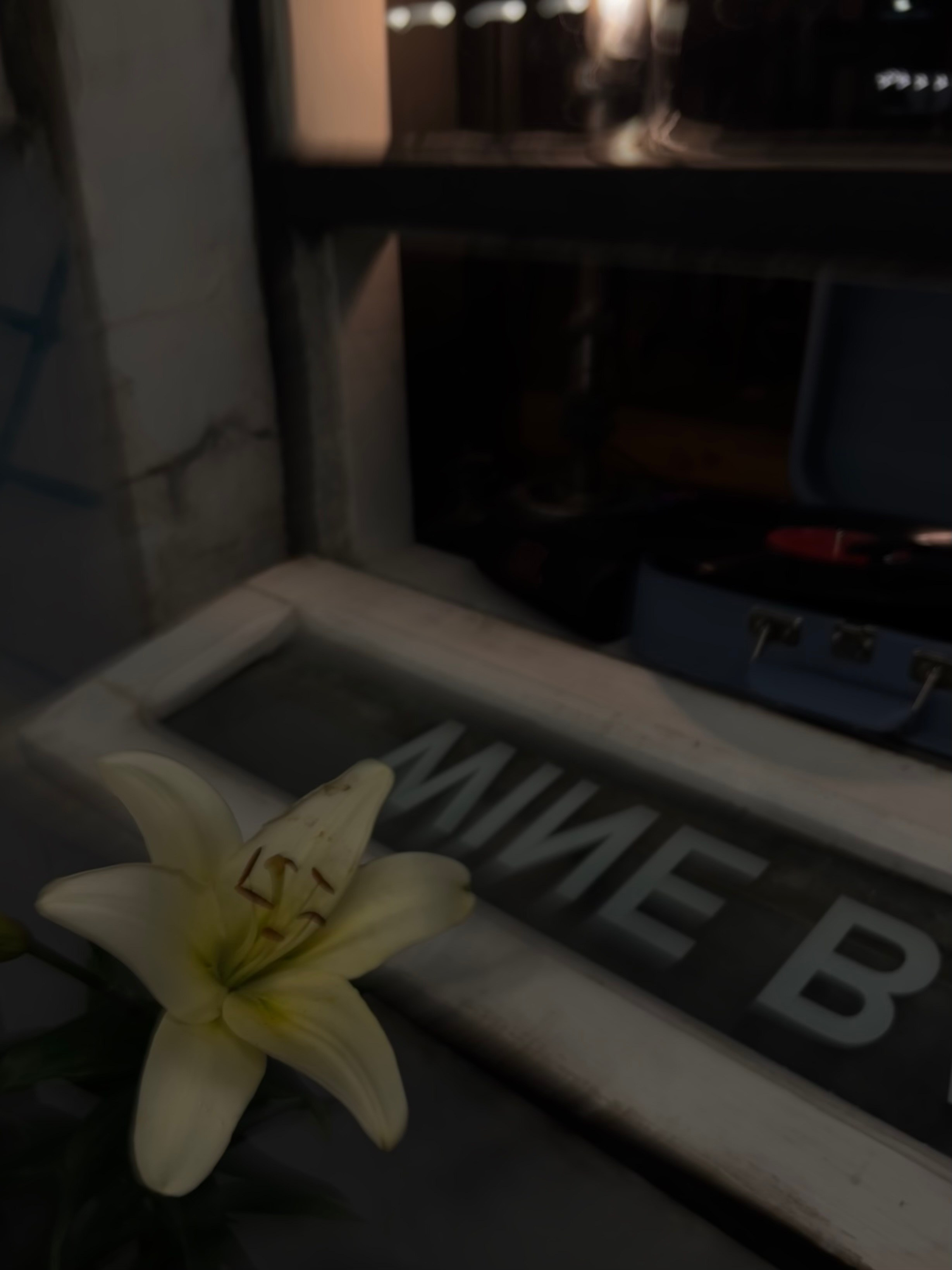 Фотограф в Таганроге Галина Бычкаускас