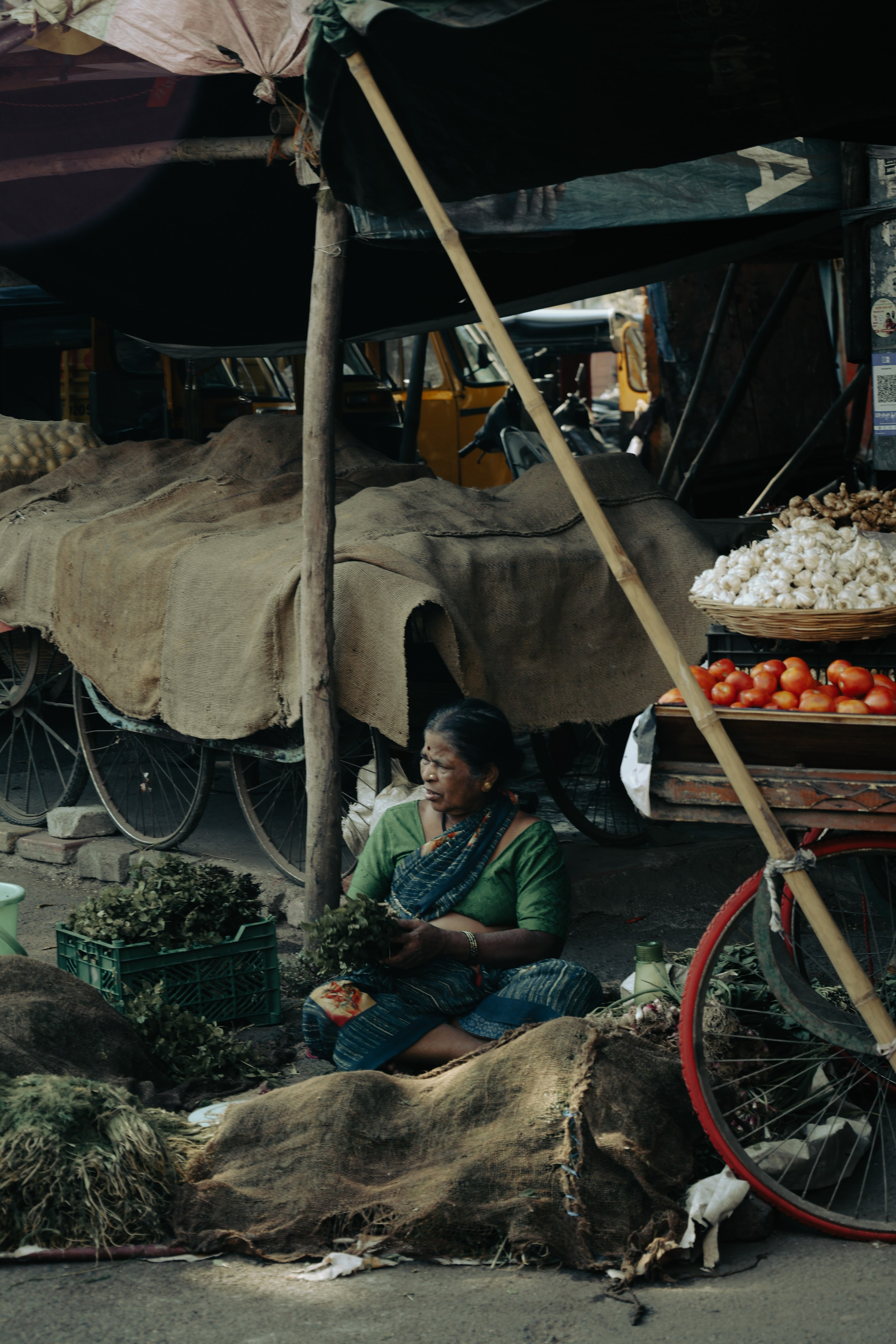 India. Фотограф в Москве