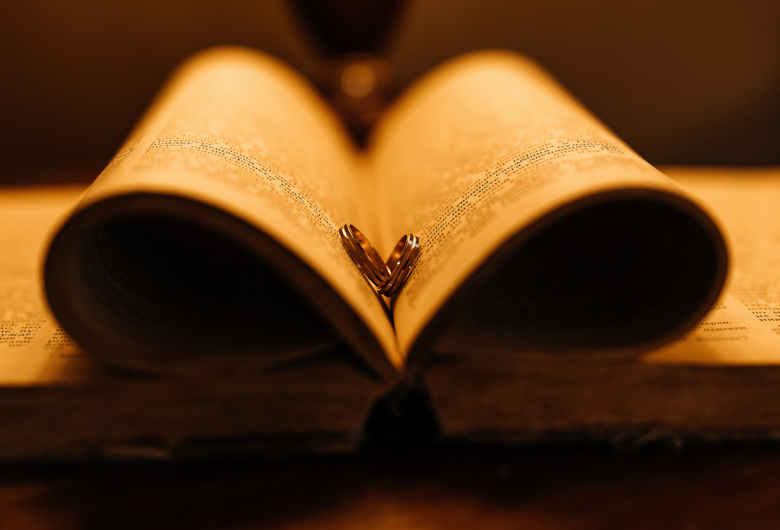 Максим & Алина I 12.09.25. Свадебный и семейный фотограф в Омске Евгения Хакимова