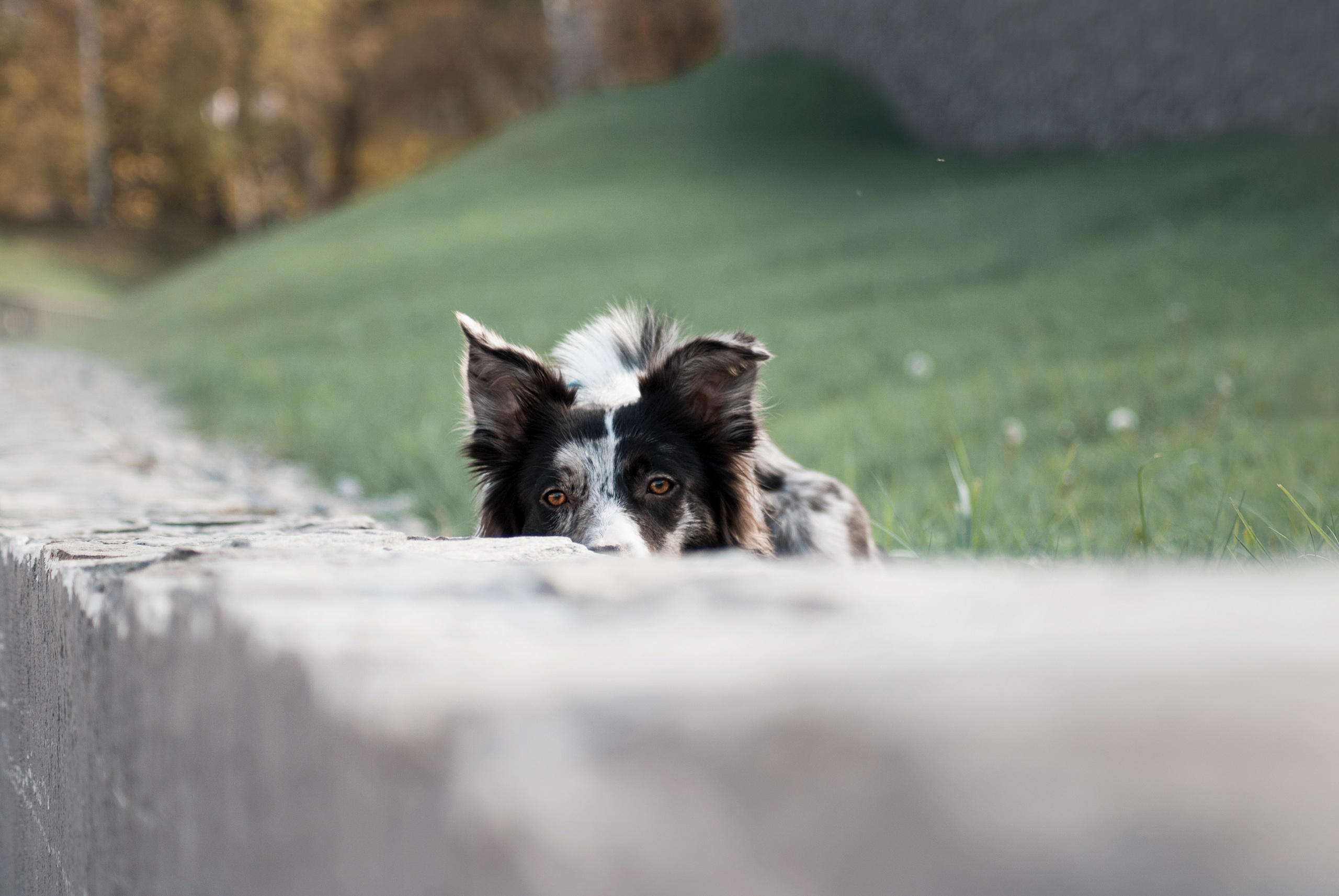 Тэйс. Фотограф в Тюмени Лизавета Сапицкая