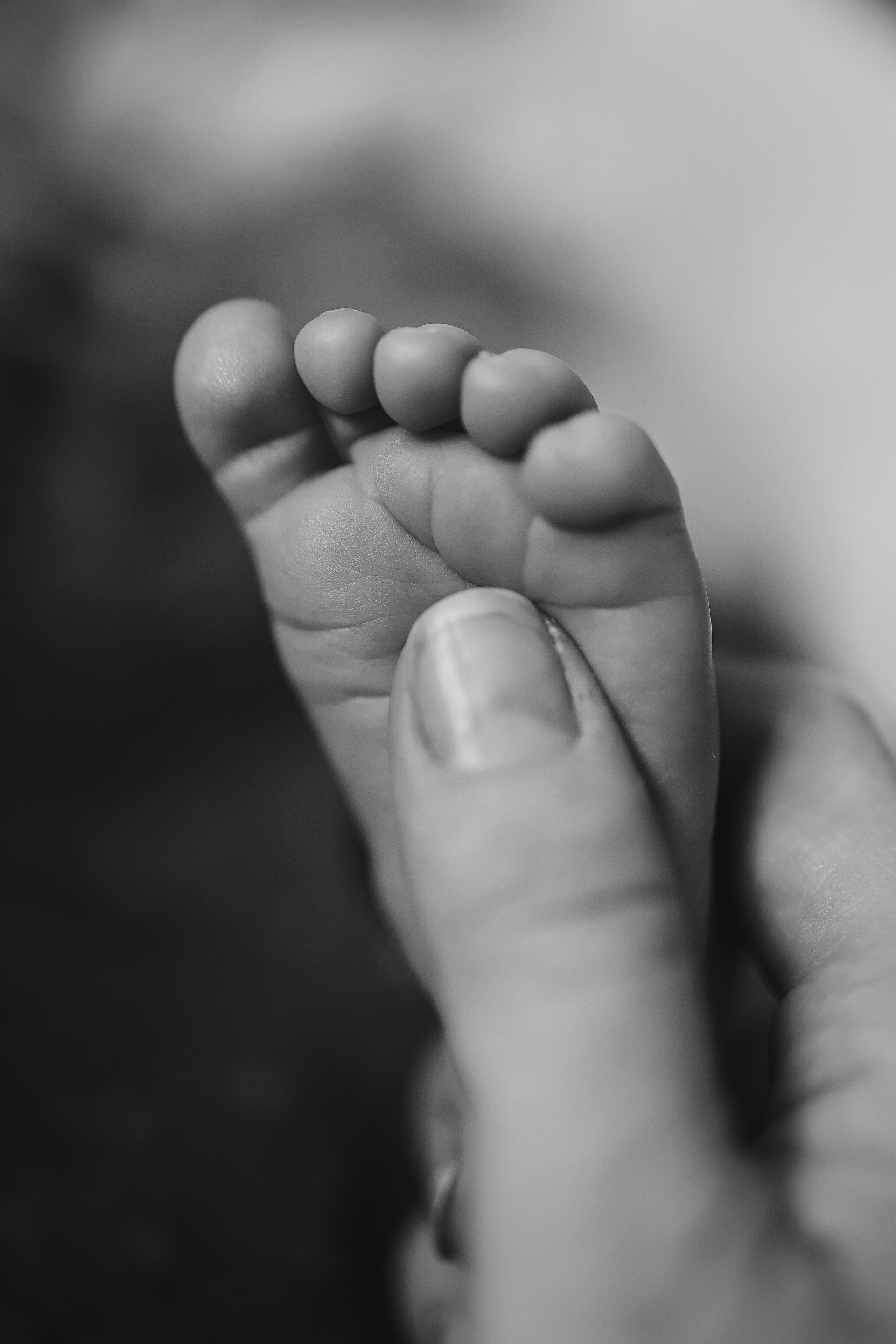 Ефим, 2 недели. Семейный фотограф Тюмень, фотограф на роды Салмина Мария