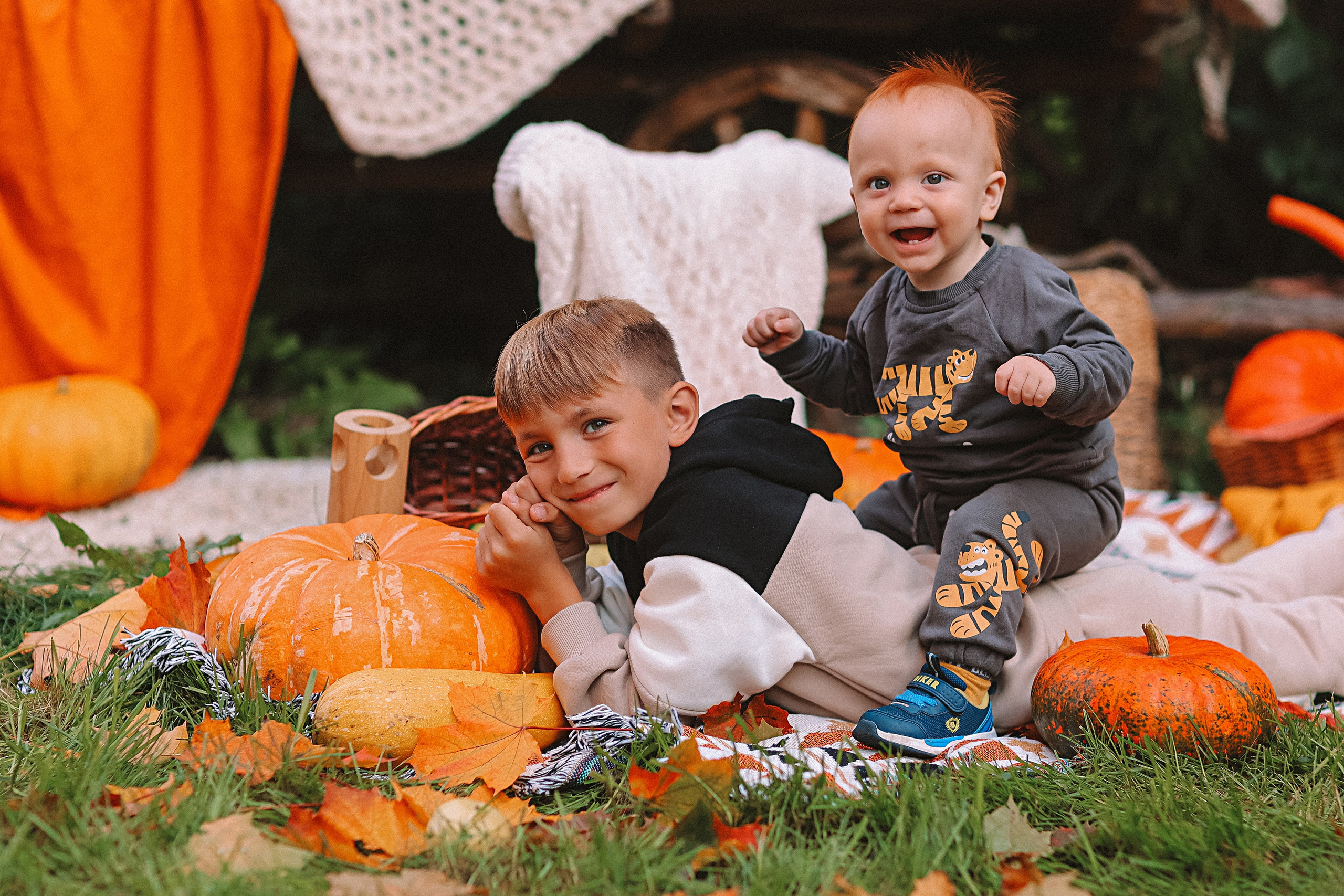 Тыквы. Семейный фотограф Тюмень, фотограф на роды Салмина Мария