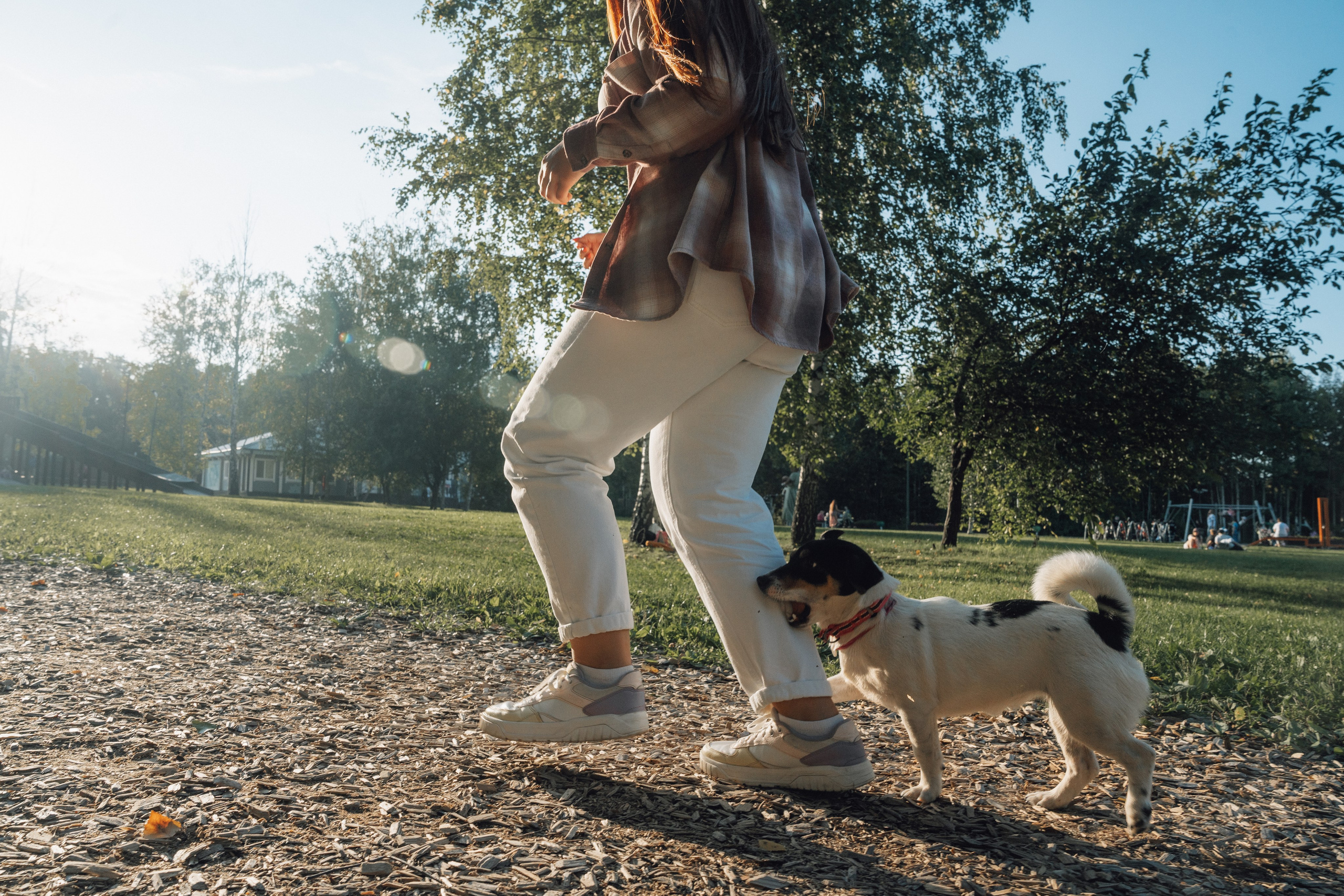 Аня и Луна. Фотограф и видеограф в Тюмени Екатерина Чернецкая