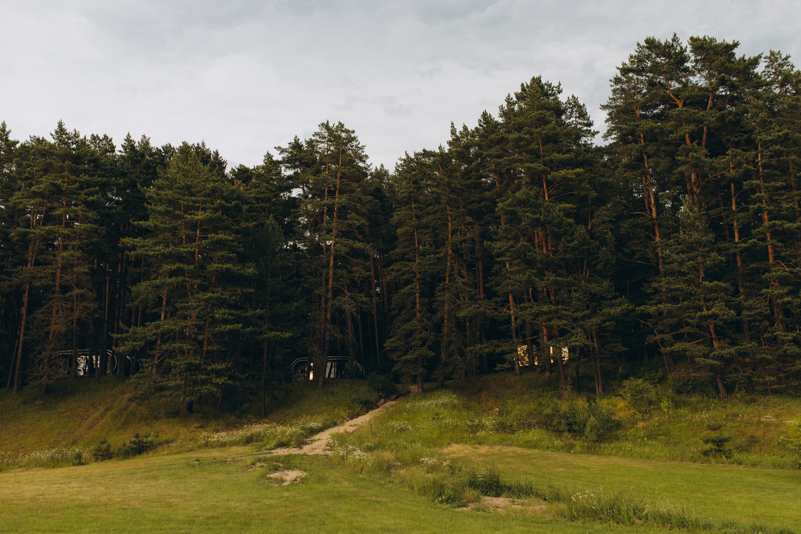 Близнецы. Семейный фотограф в Обнинске
