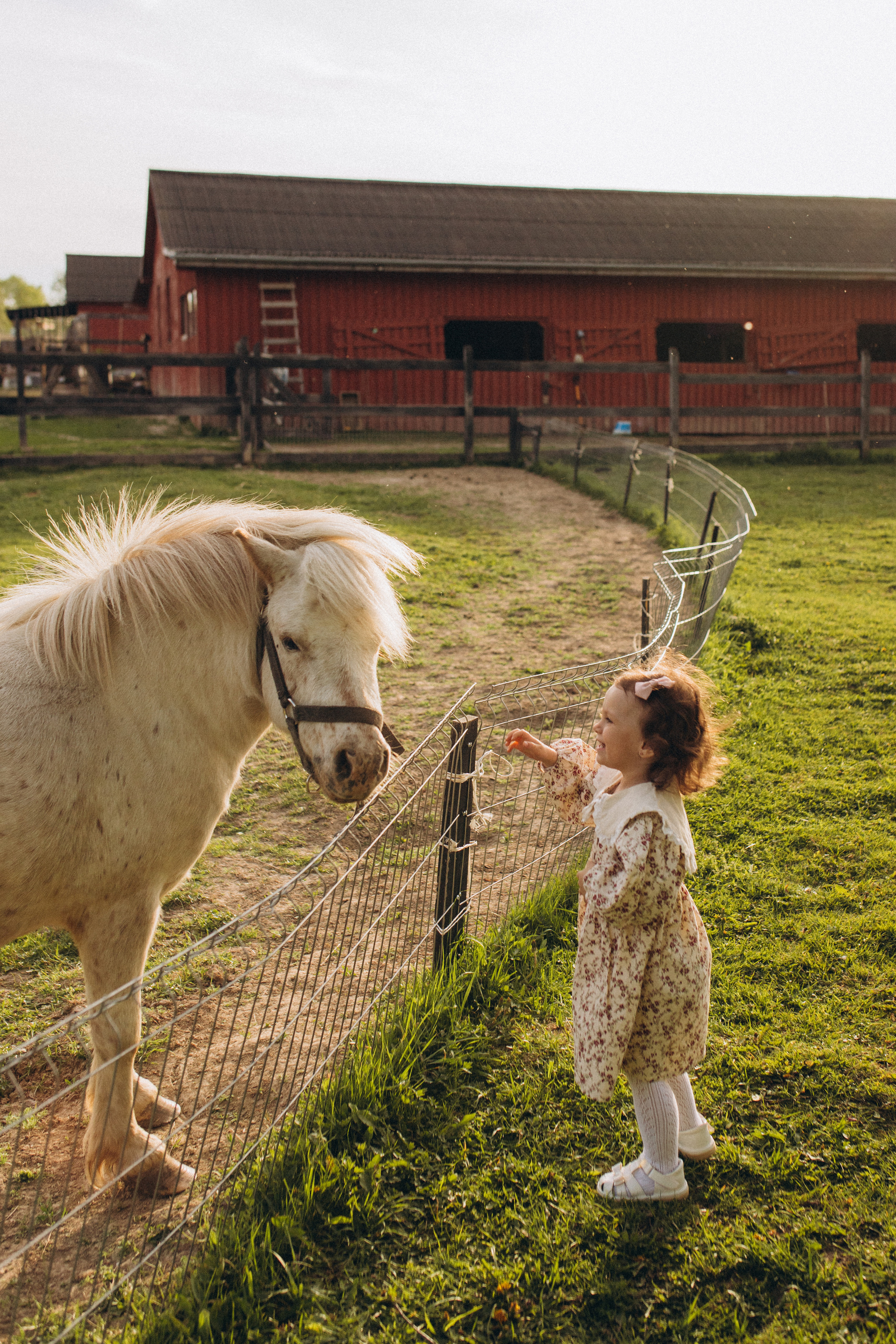 Бе-Ме. Семейный фотограф в Обнинске