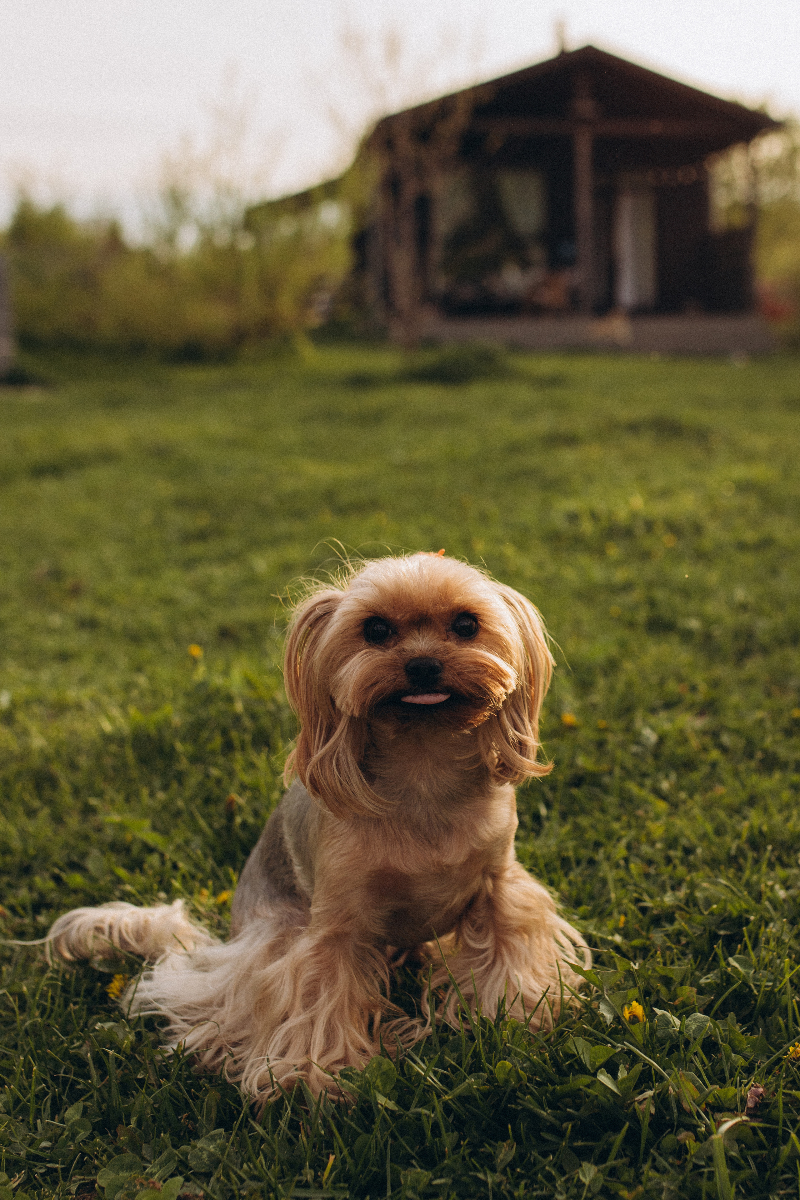 Бе-Ме. Семейный фотограф в Обнинске