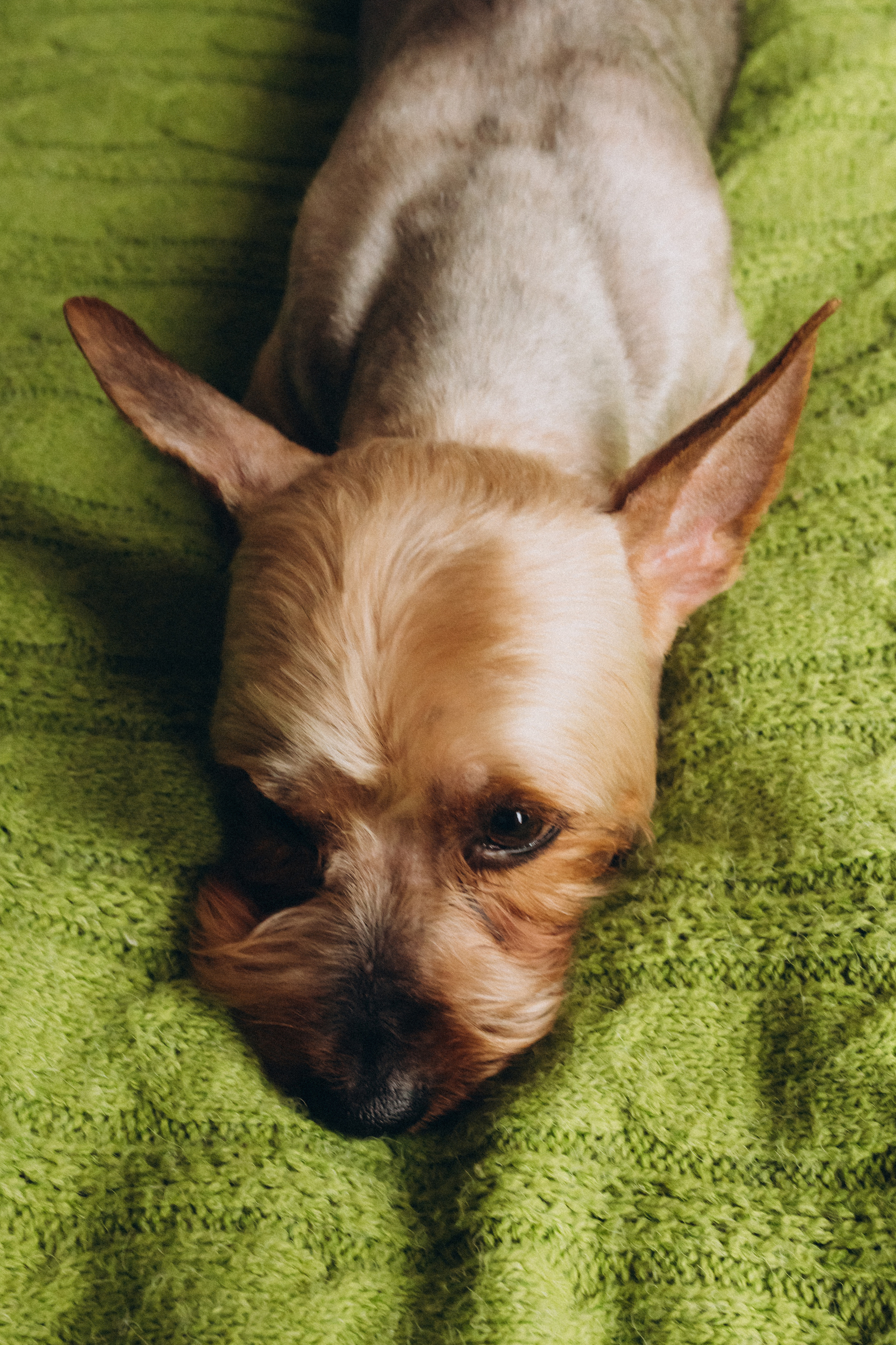 Домашняя. Семейный фотограф в Обнинске