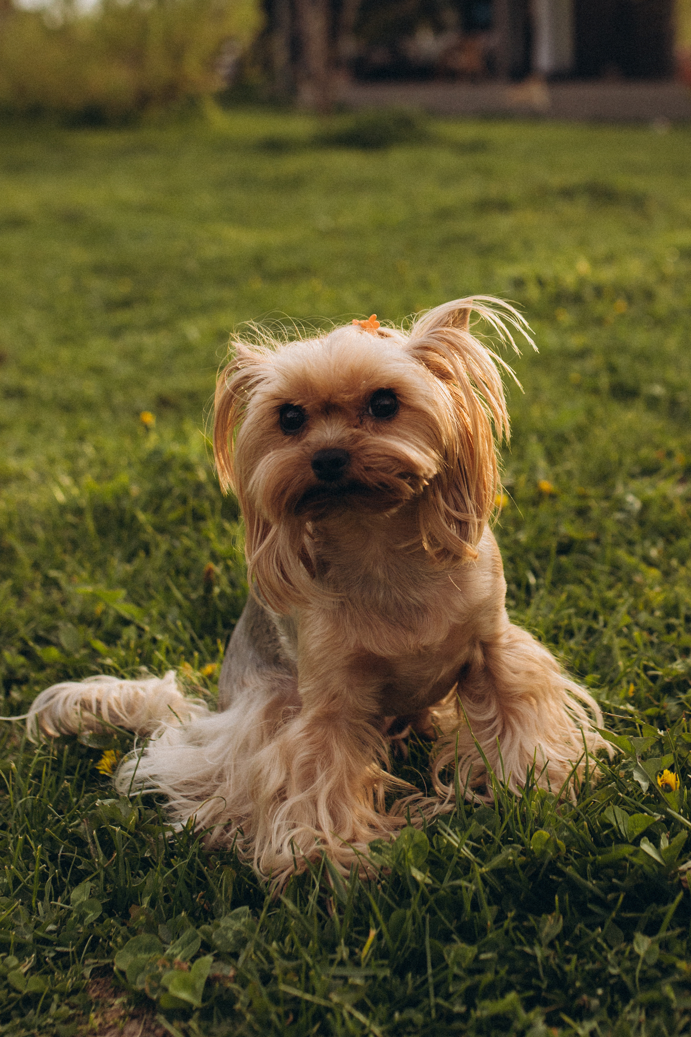 Бе-Ме. Семейный фотограф в Обнинске