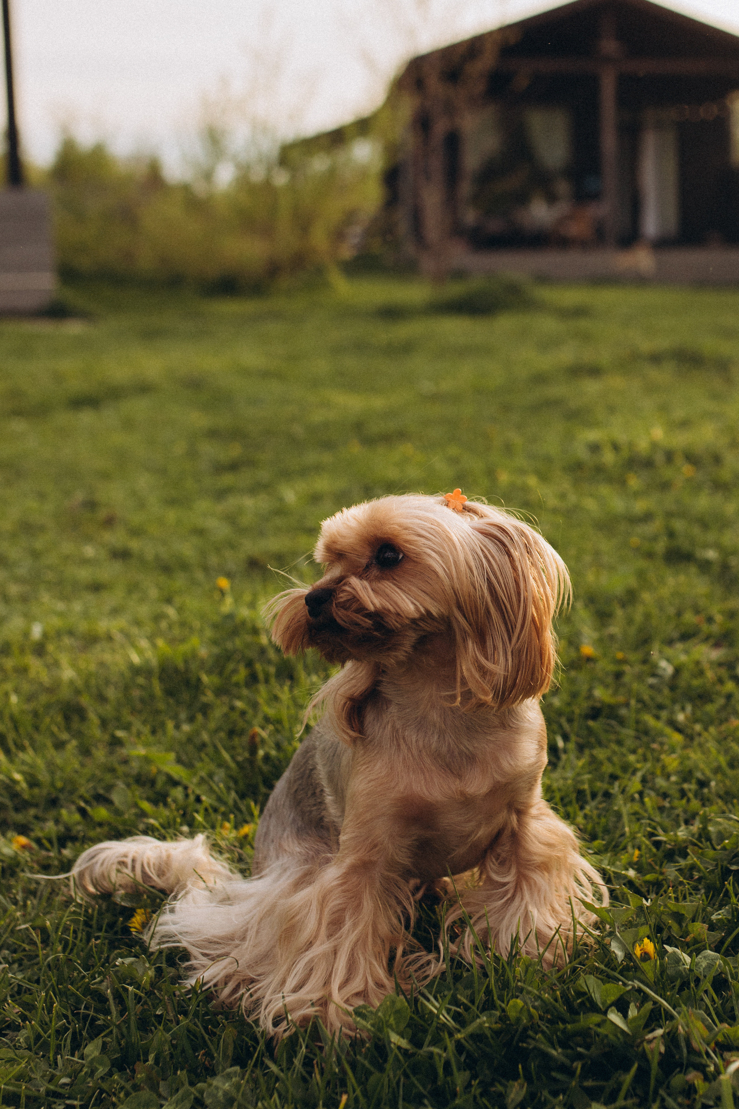Бе-Ме. Семейный фотограф в Обнинске