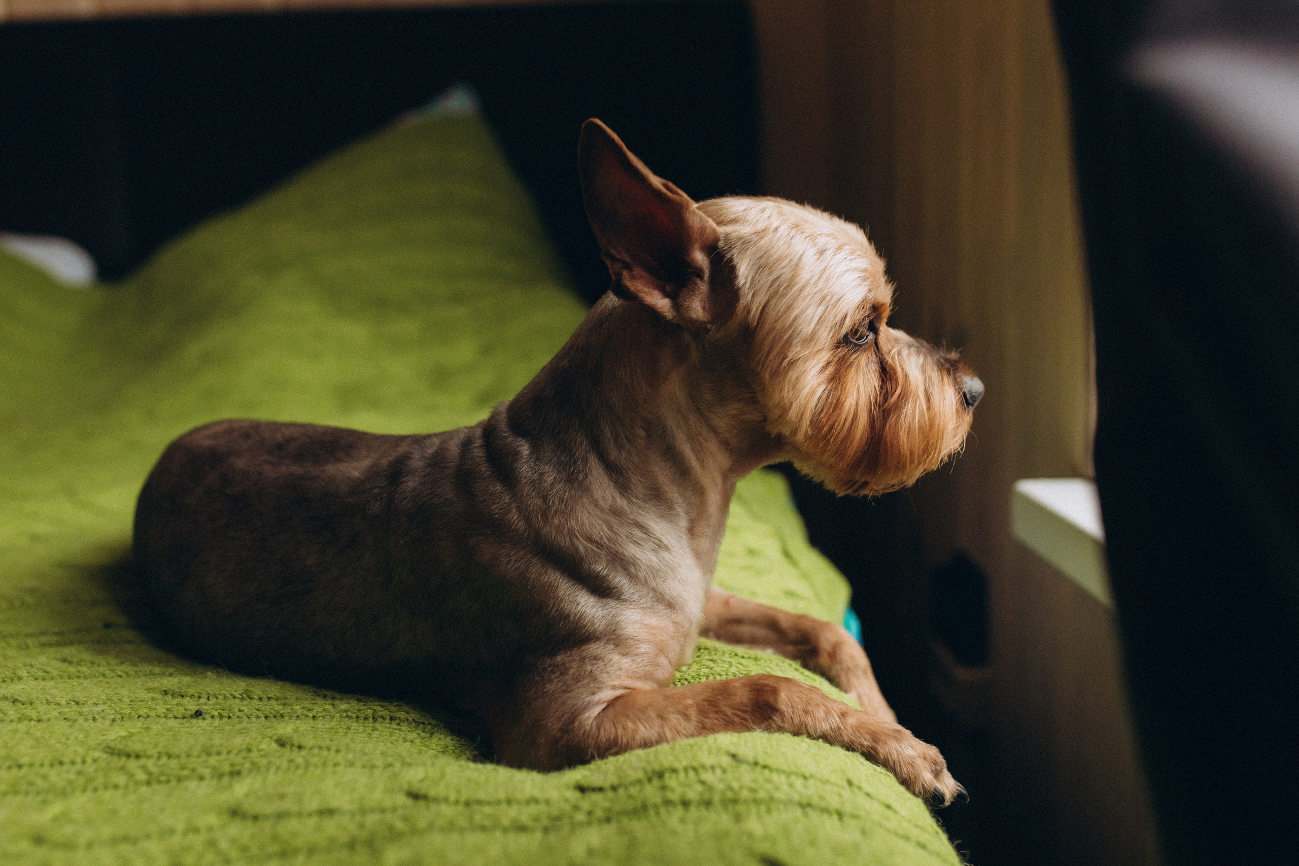 Домашняя. Семейный фотограф в Обнинске