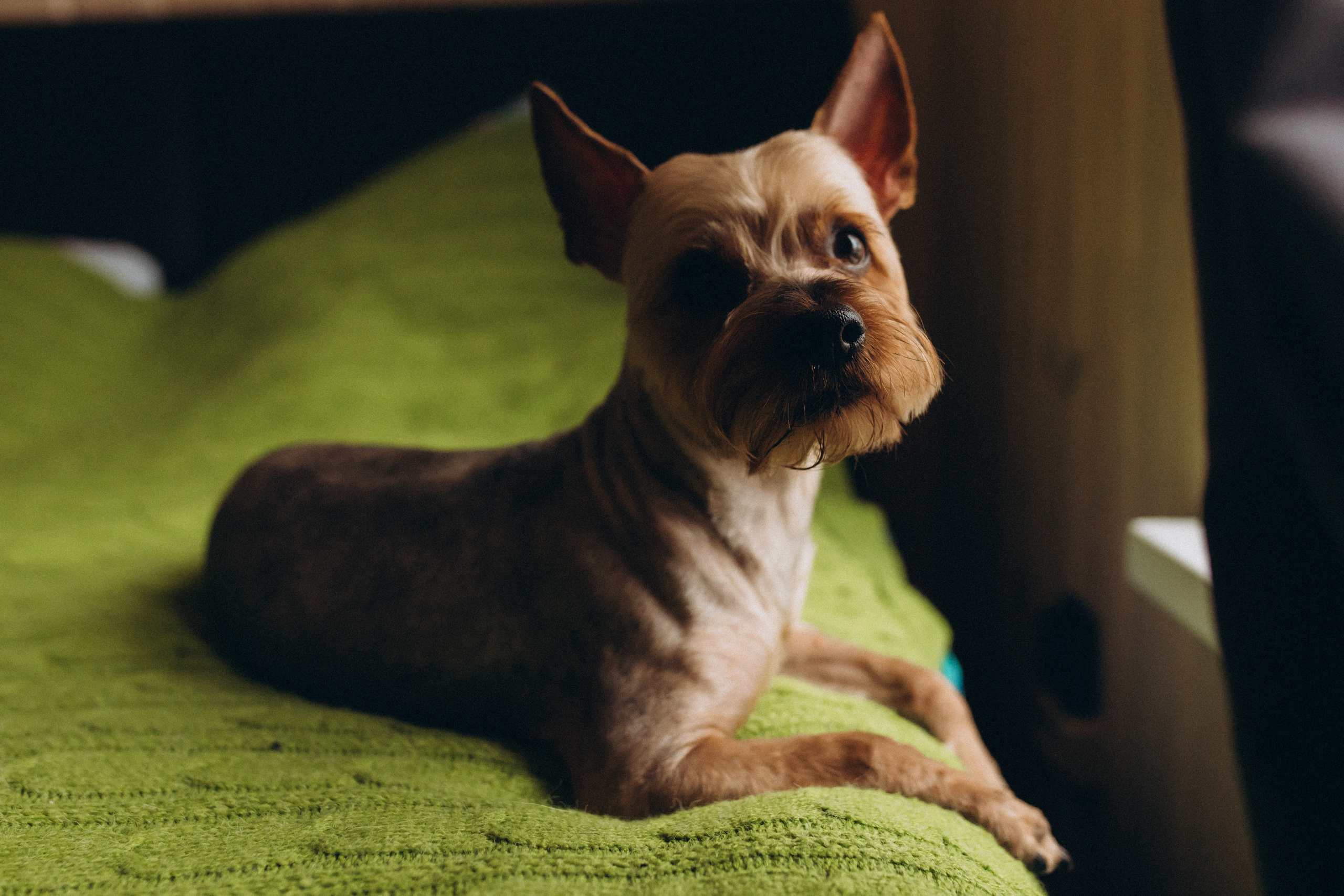 Домашняя. Семейный фотограф в Обнинске