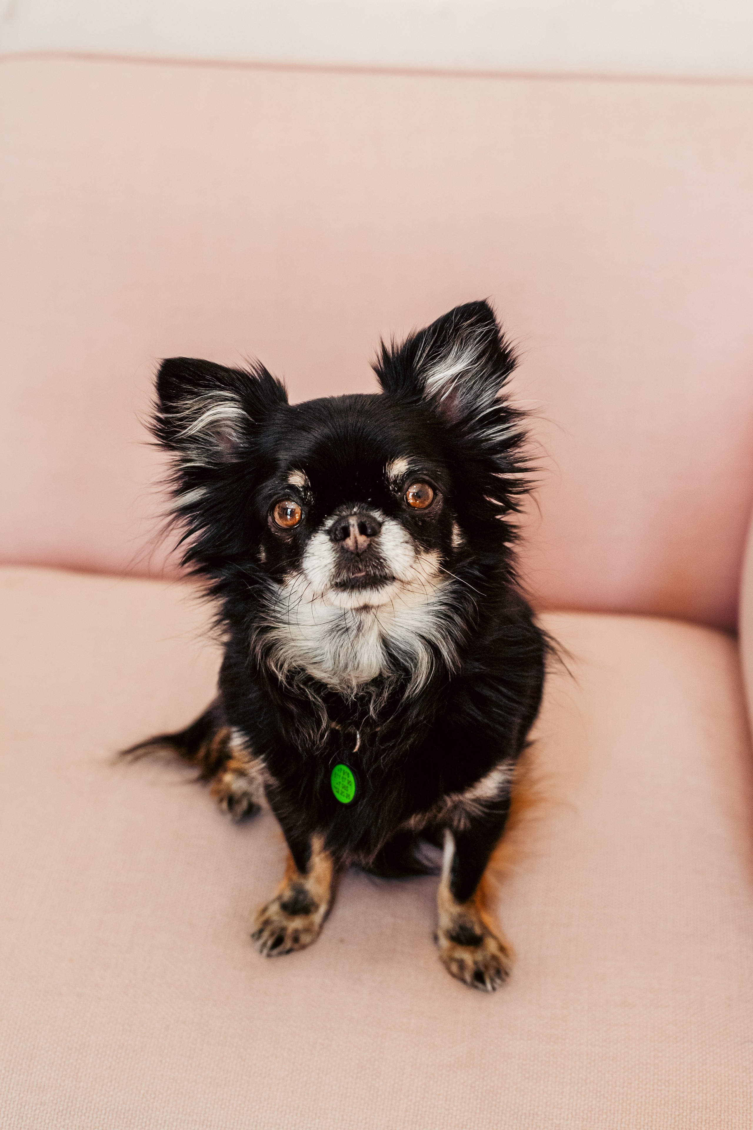 Семейная фотосессия. Фотограф-анималист Татьяна Степанова