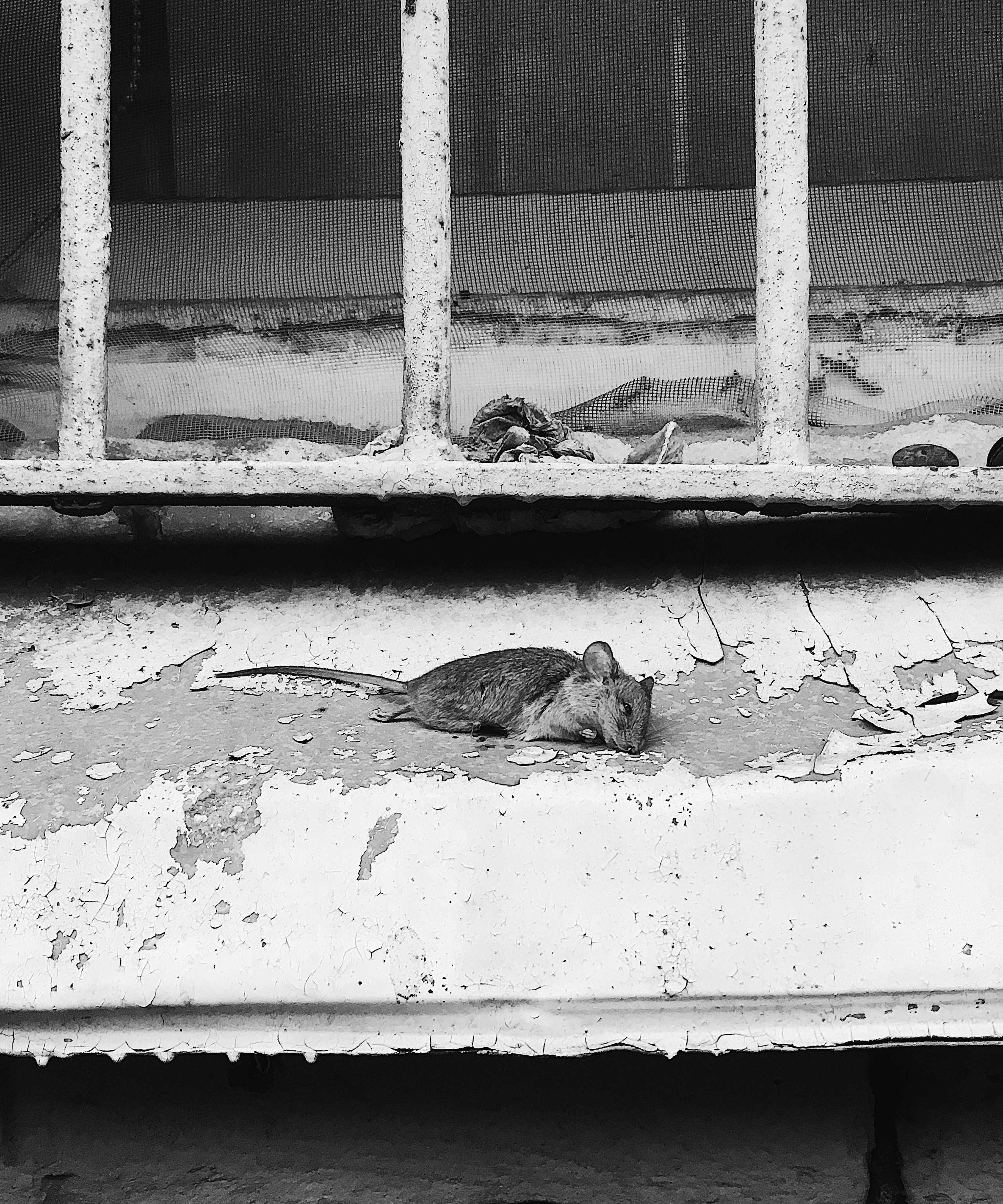 Черно-белые стрит фотографии. VKHRV