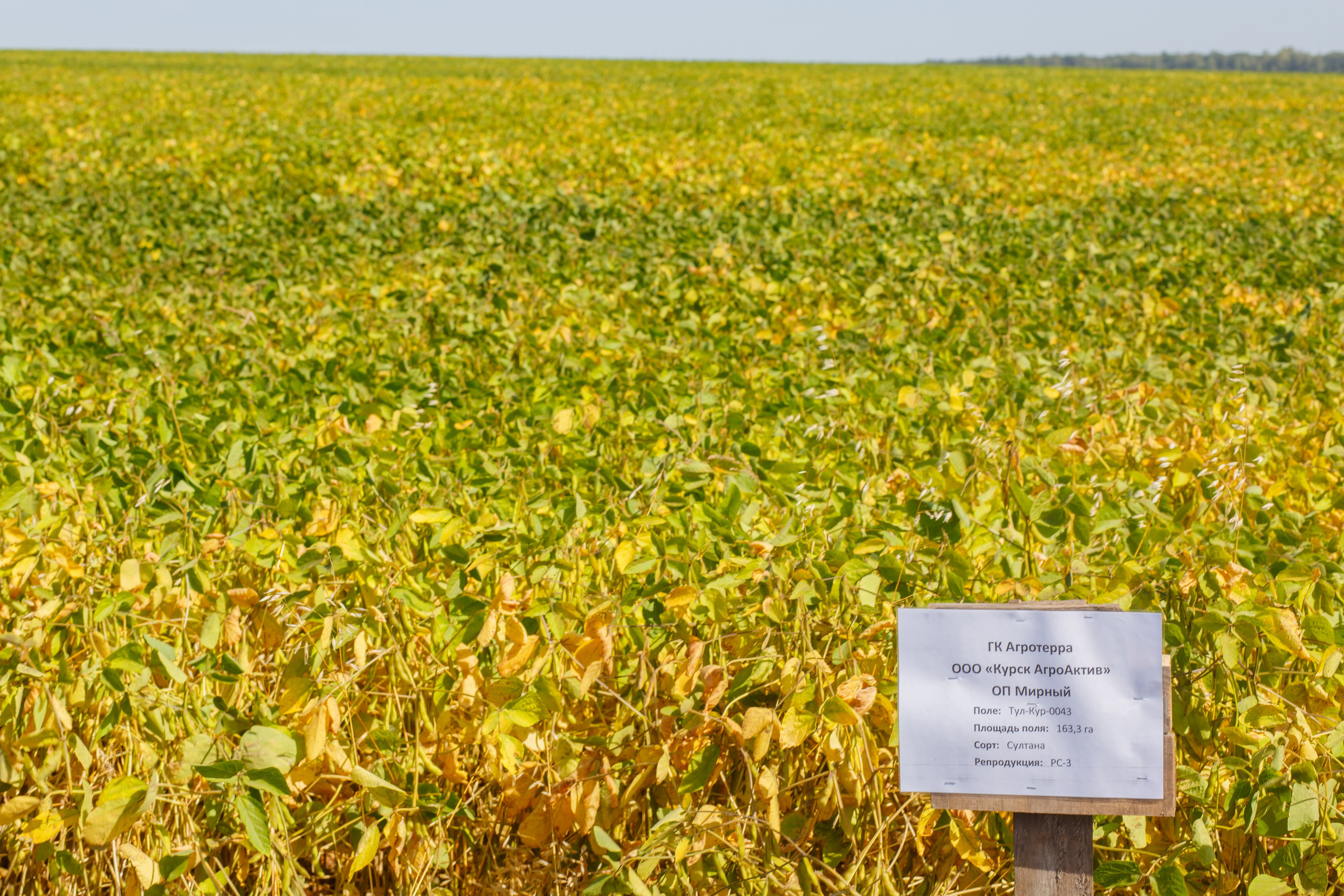 Агротерра. Фотограф Яков Поспехов