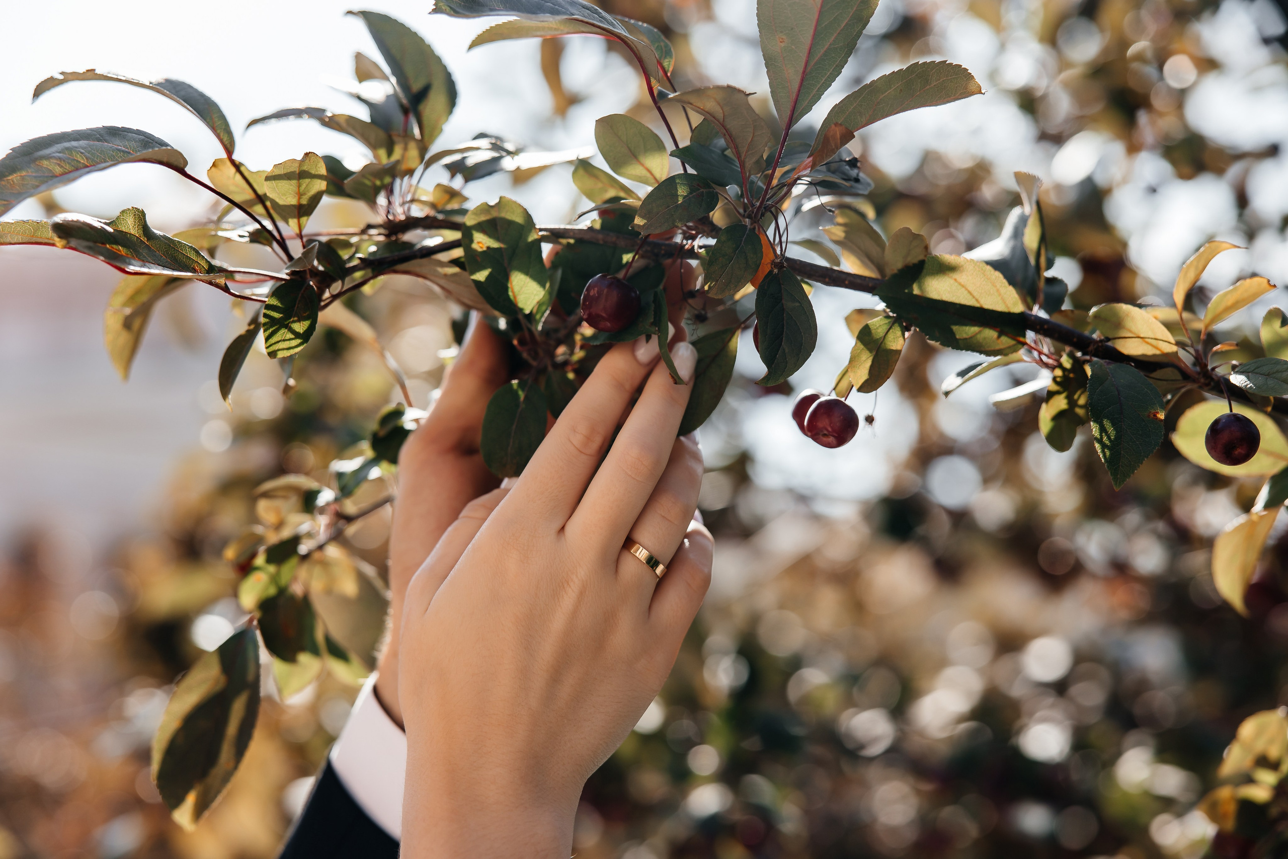 Анонс свадьбы для Виктории и Артема. Свадебный фотограф в Крыму и Севастополе Ольга Баскакова