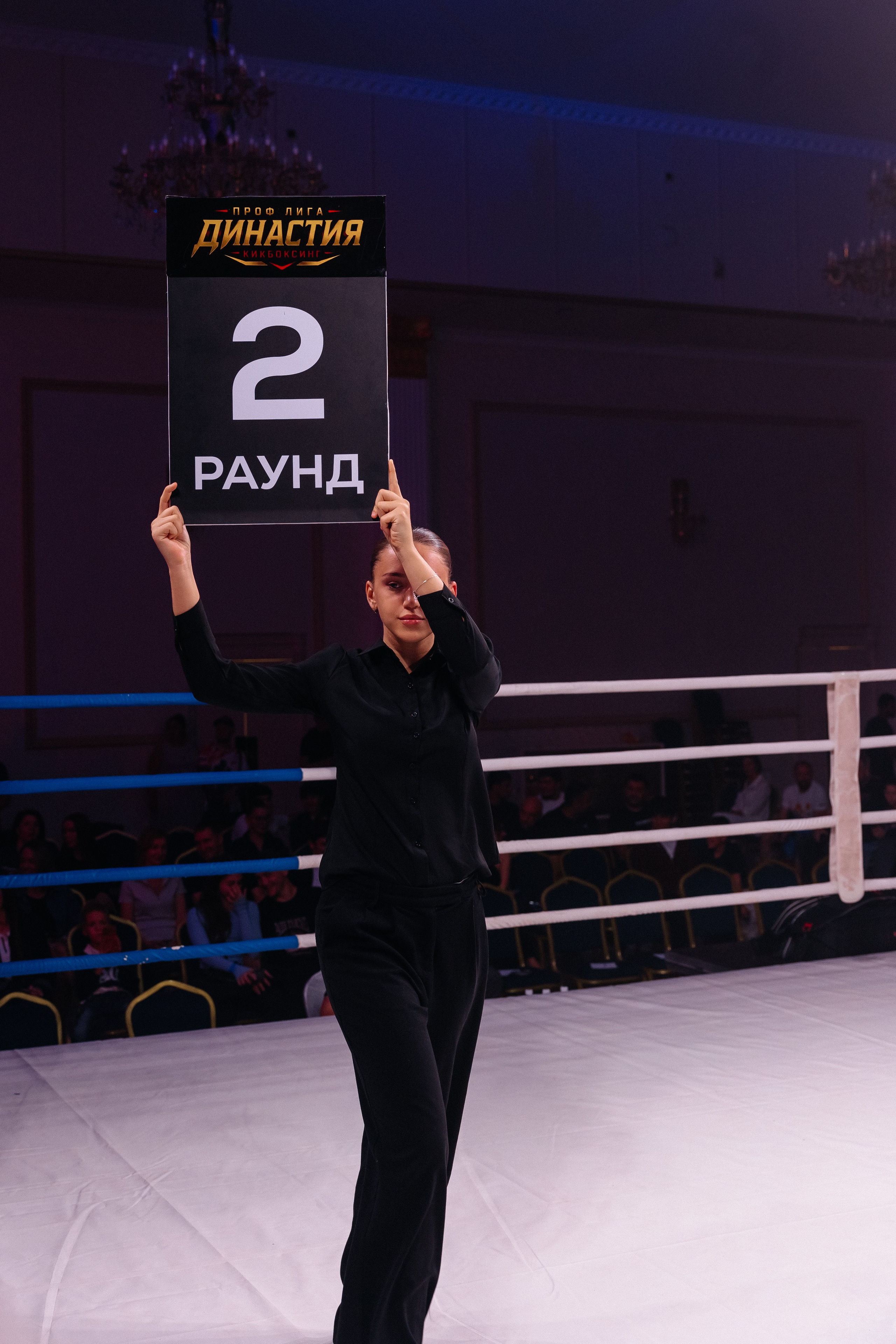 Соревнования по кикбоксингу 2026 «Динсастия»