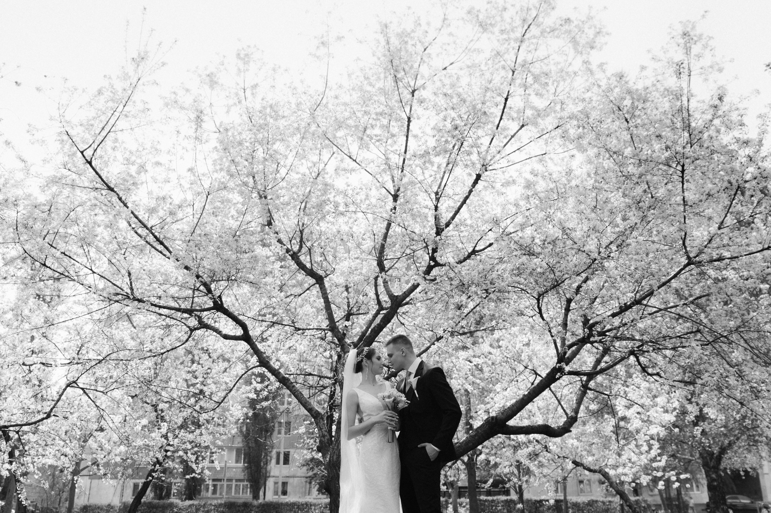 Никита+Юлия. Свадебный фотограф в Тамбове Валерий Тихов